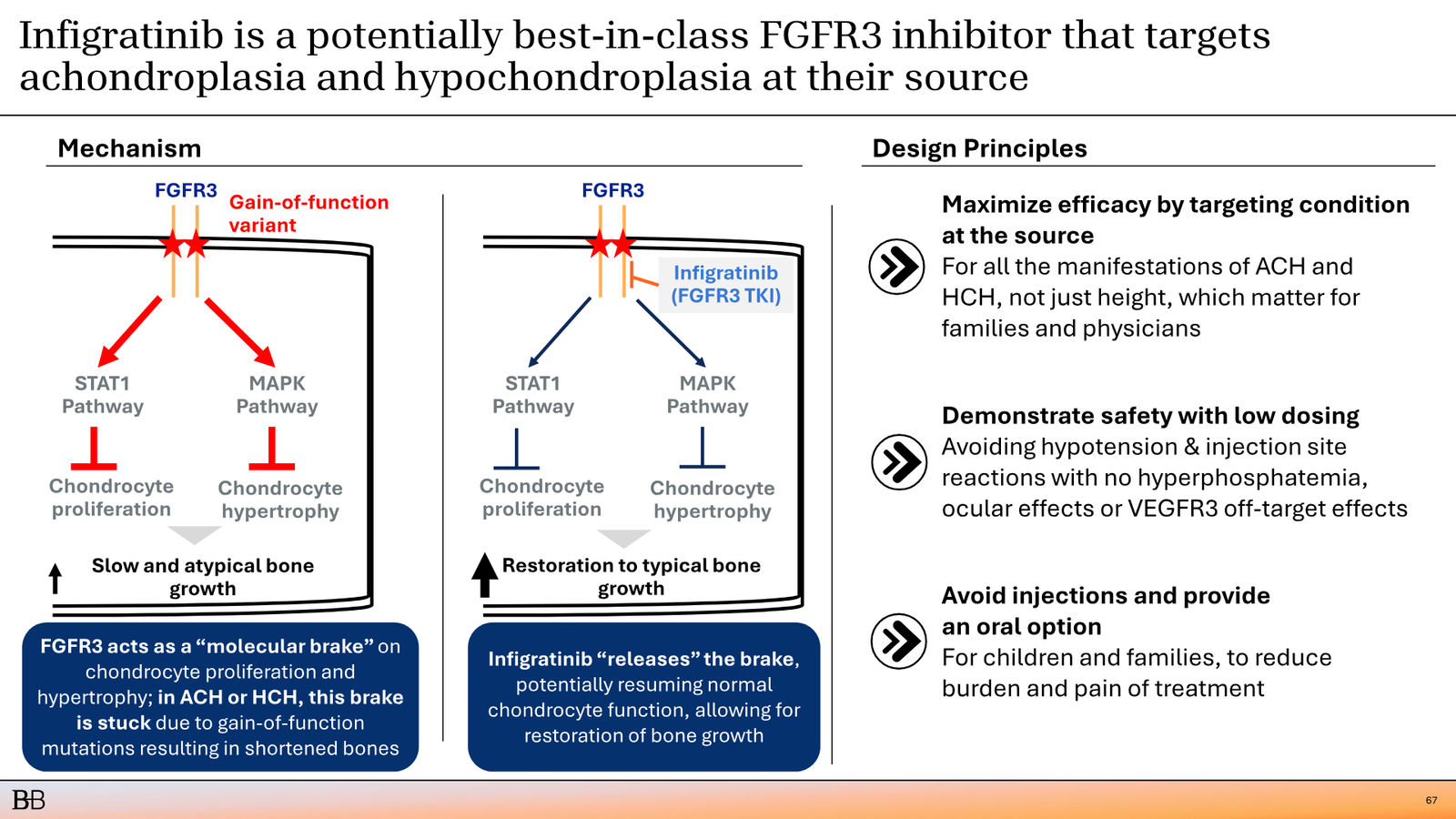 BridgeBio Corporate Presentation February 2026 — slide 68 of 92