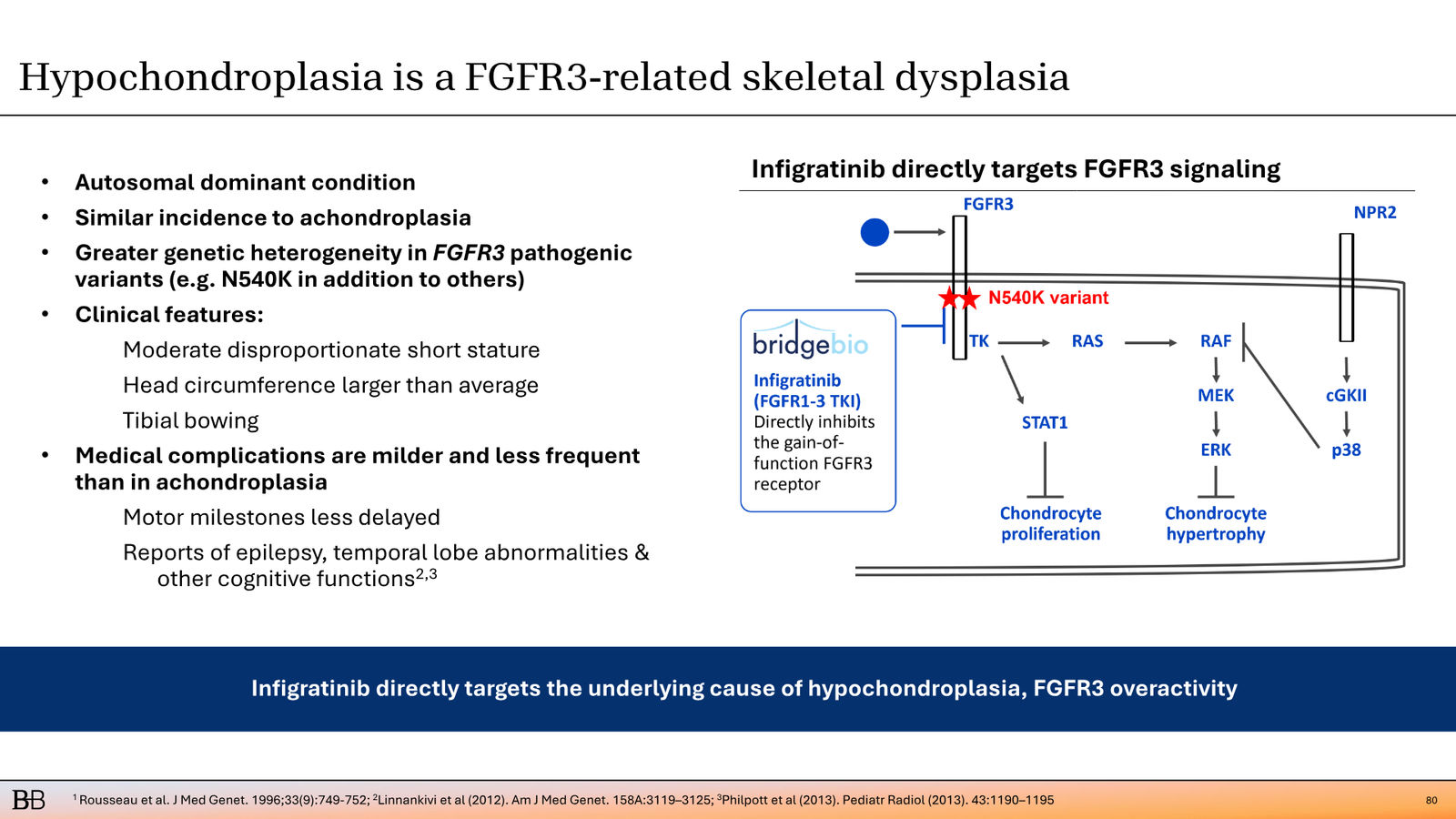 BridgeBio Corporate Presentation February 2026 — slide 81 of 92
