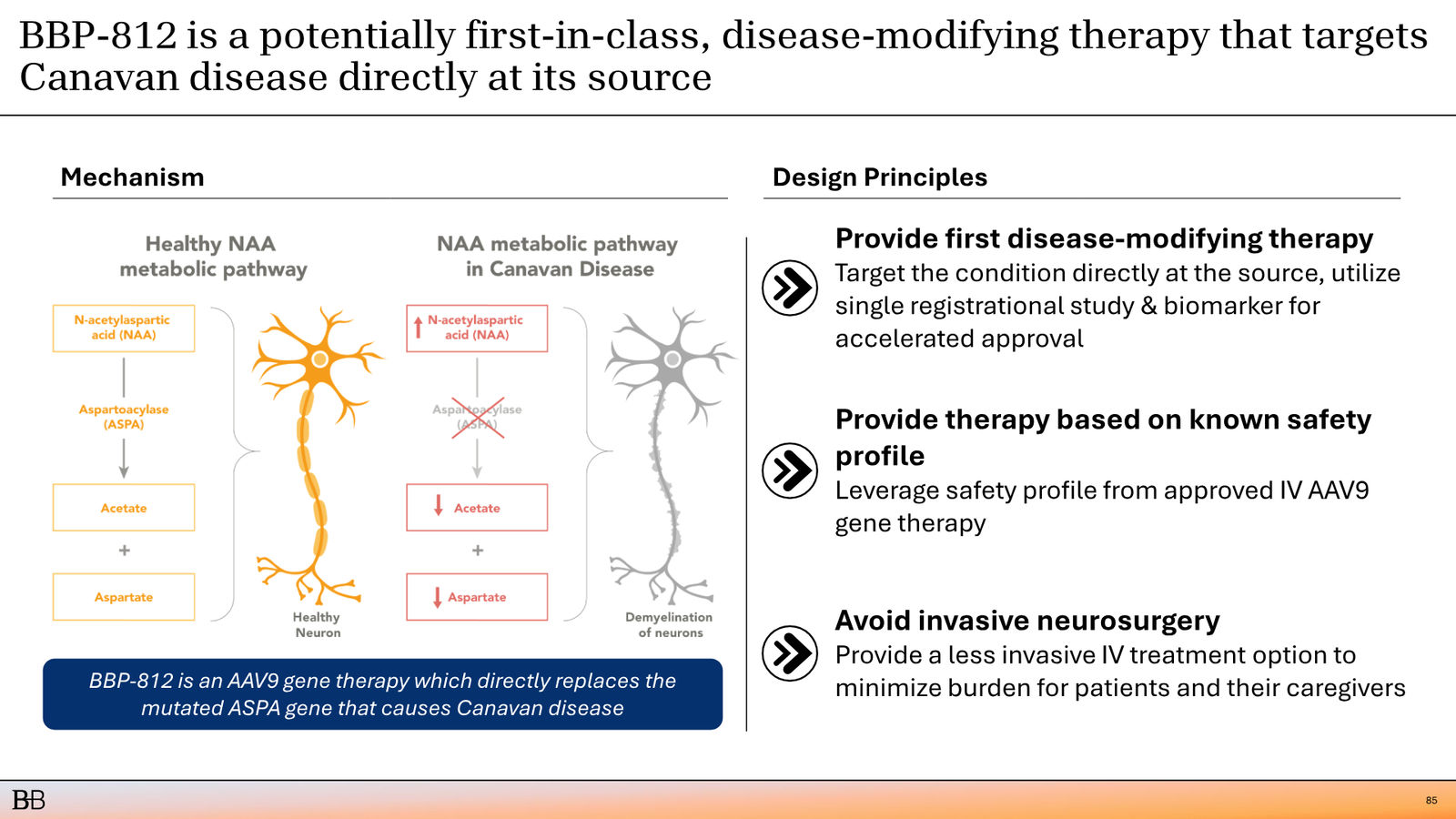 BridgeBio Corporate Presentation February 2026 — slide 86 of 92