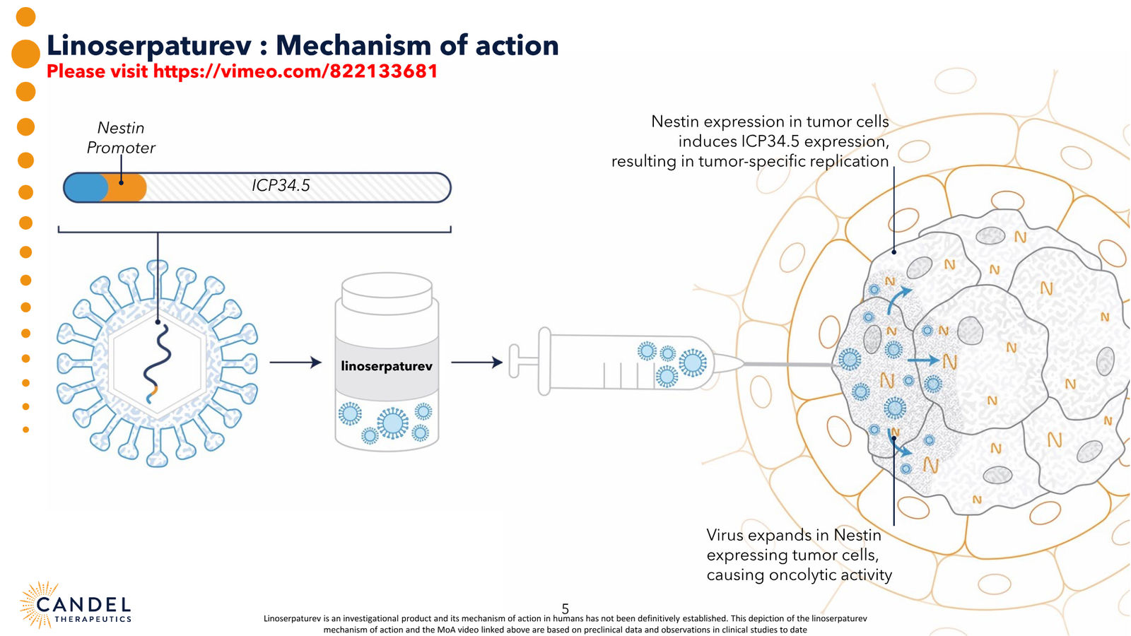 Candel Therapeutics Corporate Presentation — slide 6 of 73