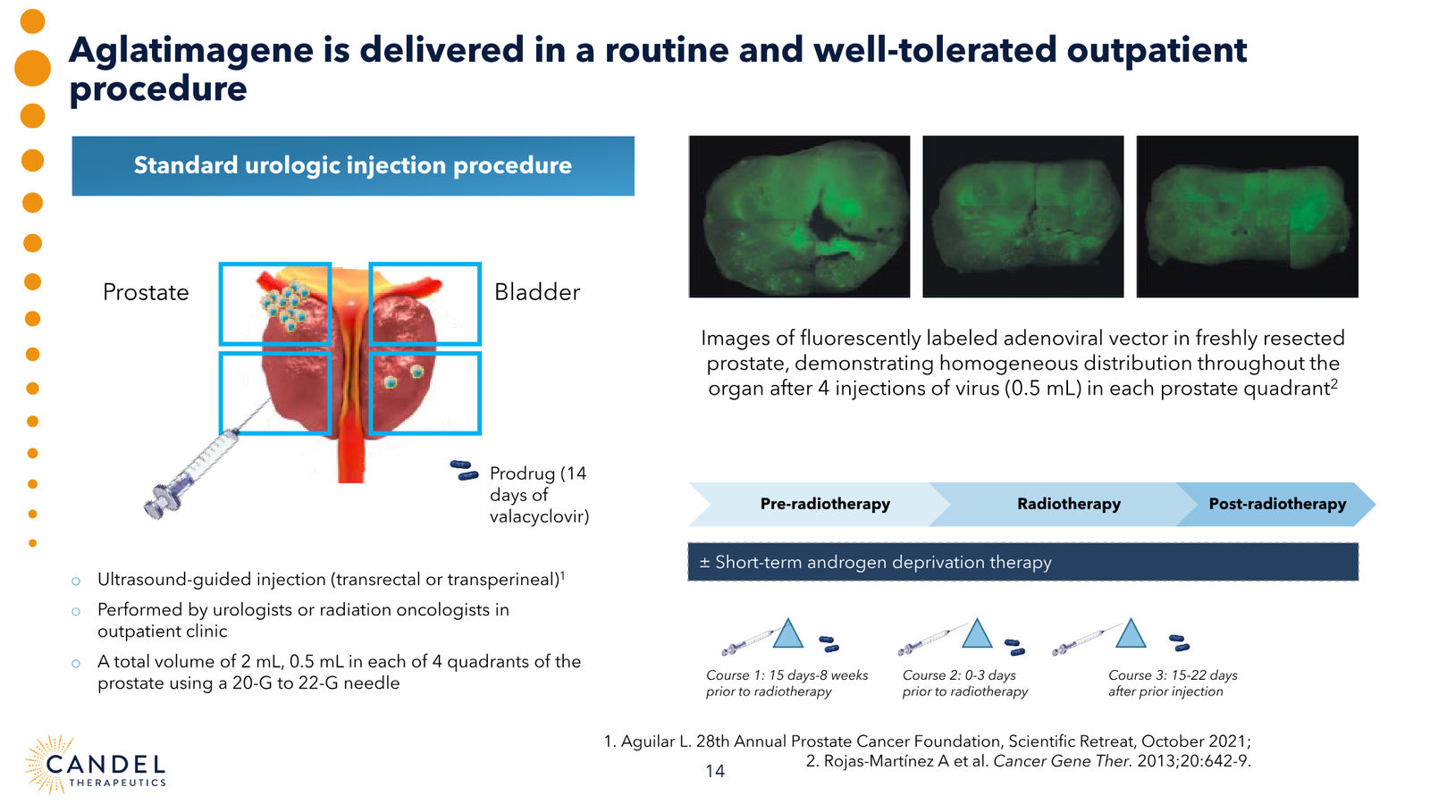 Candel Therapeutics Corporate Presentation — slide 15 of 73