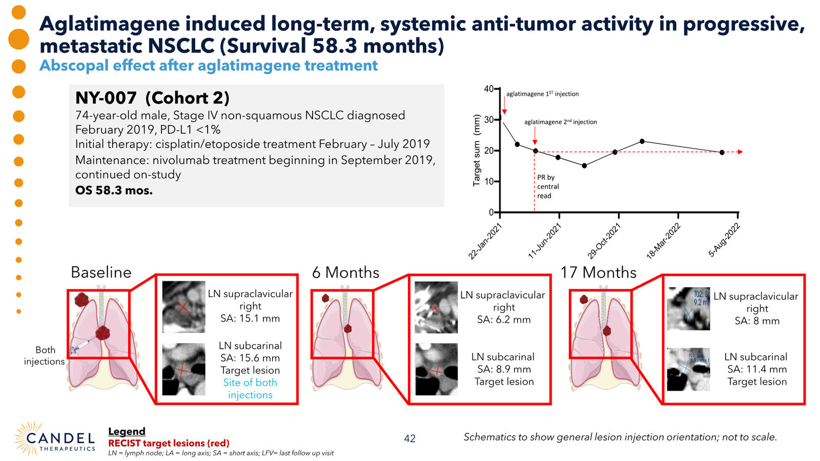 Candel Therapeutics Corporate Presentation — slide 43 of 73