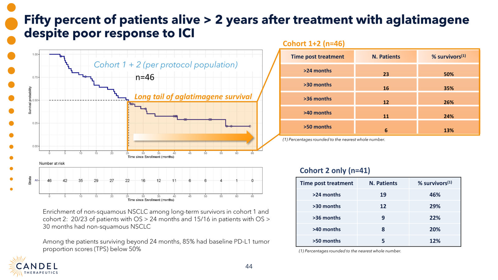 Candel Therapeutics Corporate Presentation — slide 45 of 73