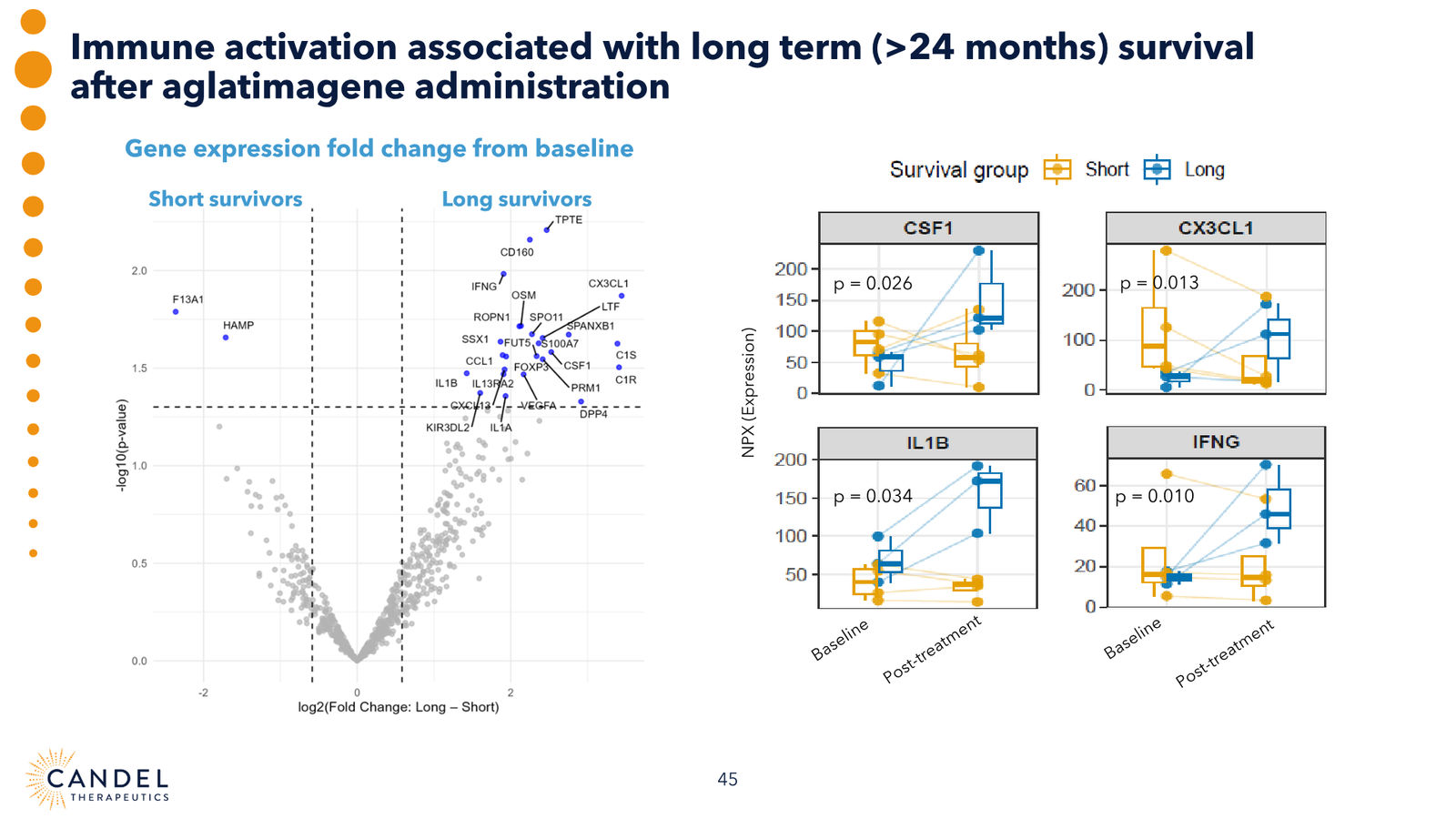 Candel Therapeutics Corporate Presentation — slide 46 of 73