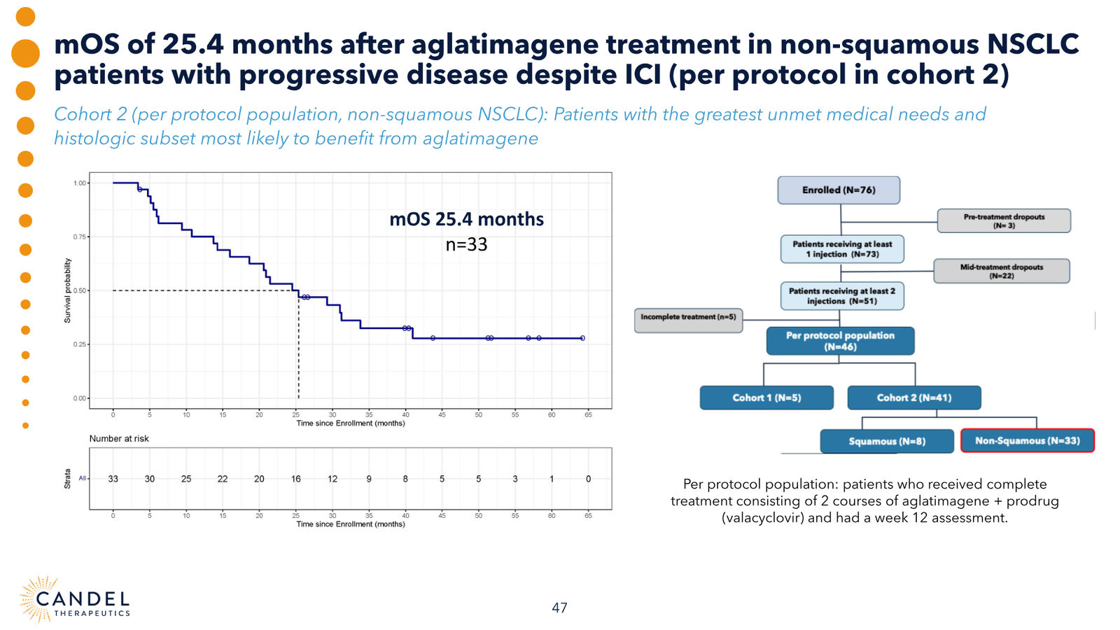 Candel Therapeutics Corporate Presentation — slide 48 of 73