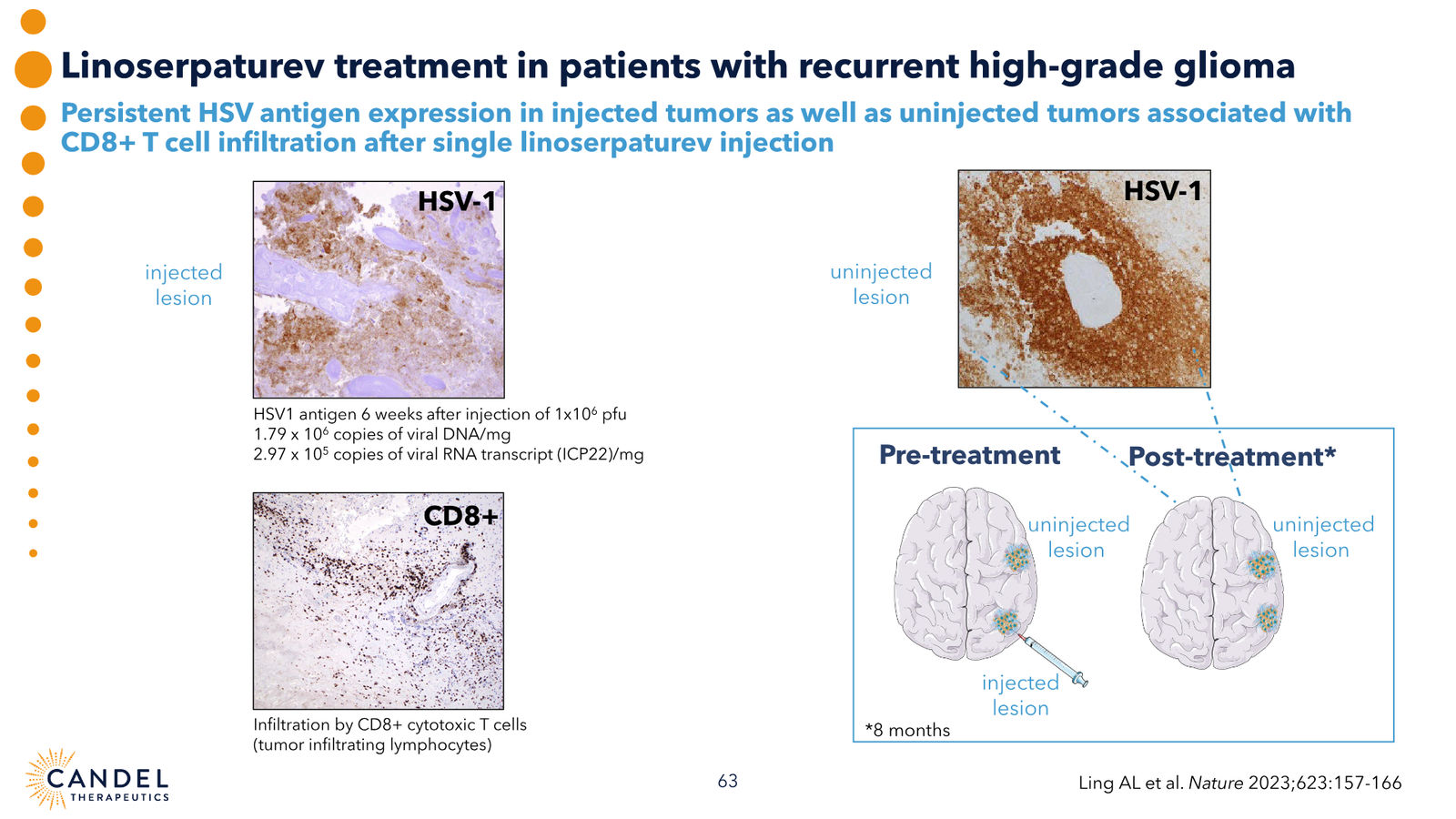 Candel Therapeutics Corporate Presentation — slide 64 of 73