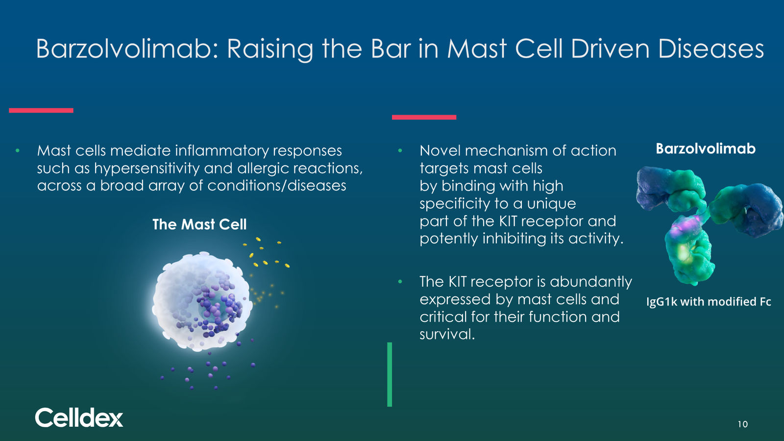 Pioneering new horizons in immunology to deliver life-changing therapies — slide 10 of 59