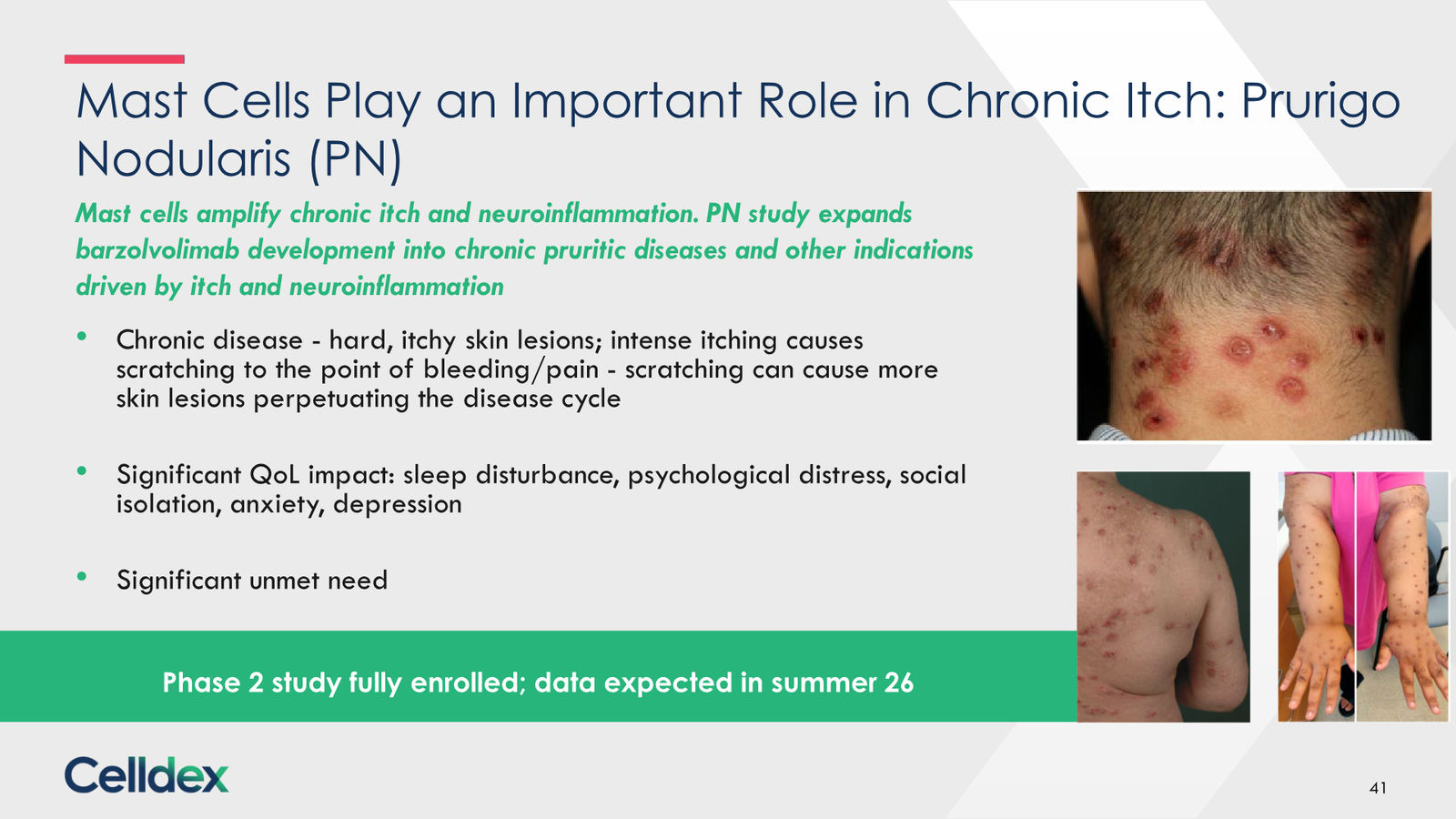Pioneering new horizons in immunology to deliver life-changing therapies — slide 41 of 59