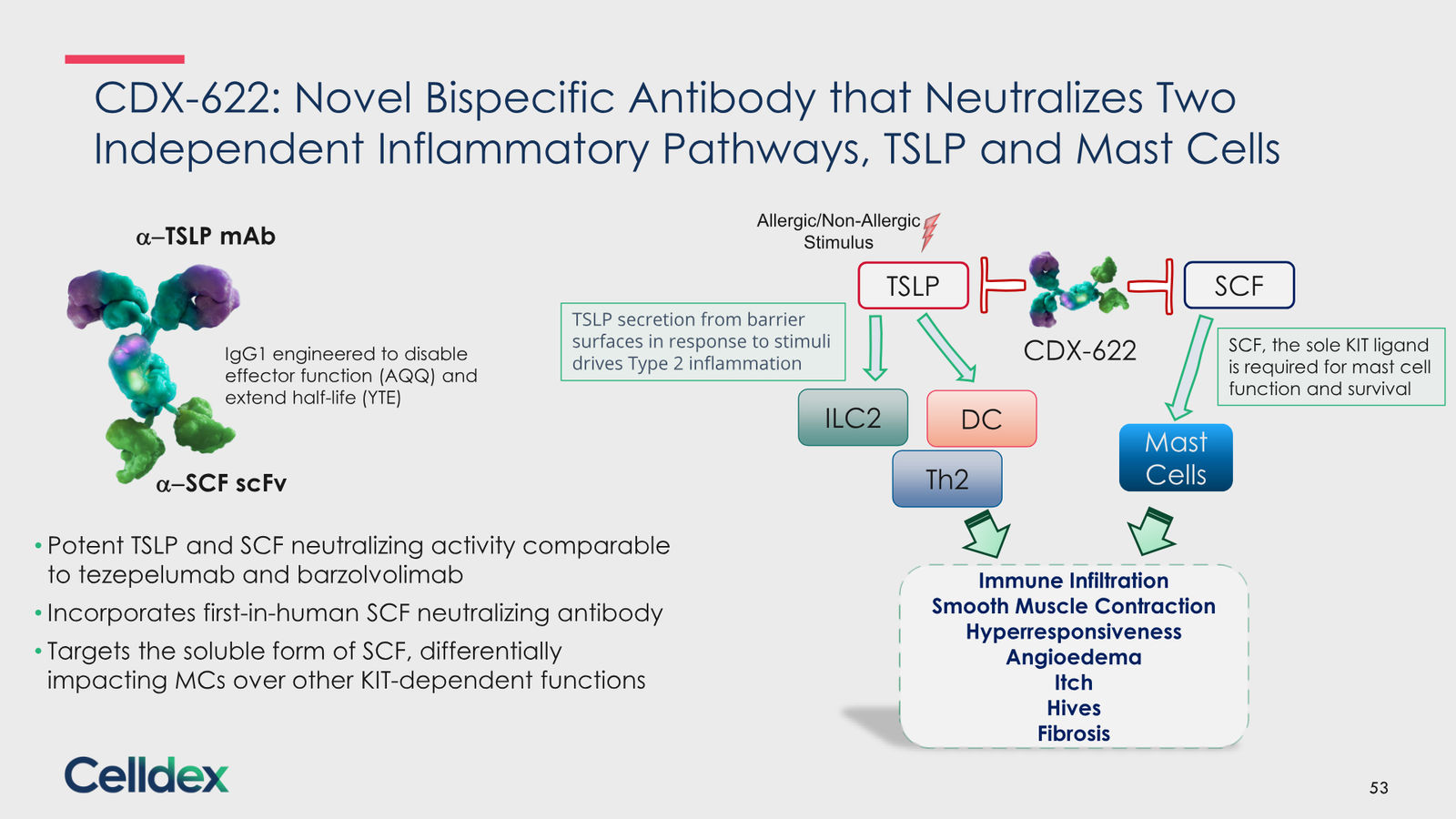 Pioneering new horizons in immunology to deliver life-changing therapies — slide 53 of 59