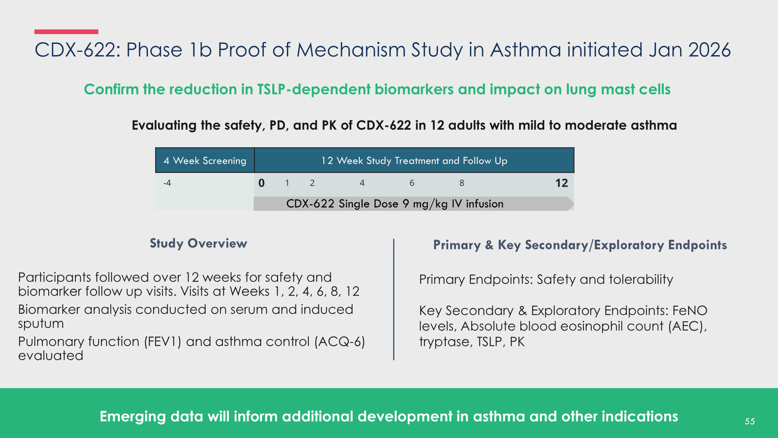 Pioneering new horizons in immunology to deliver life-changing therapies — slide 55 of 59