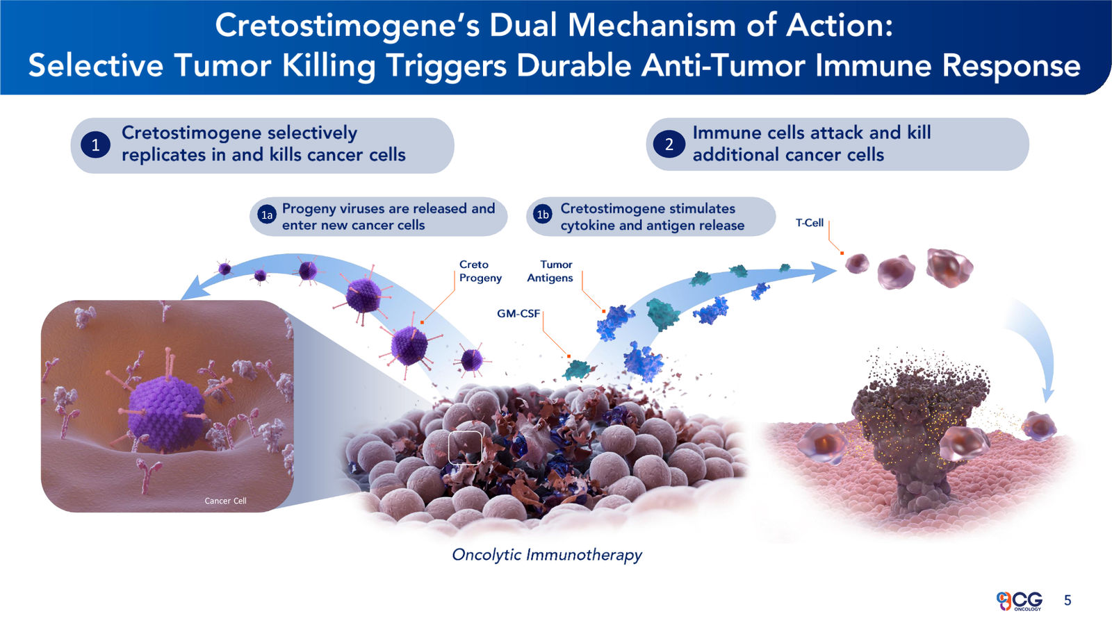CG Oncology Investor Presentation — slide 5 of 28