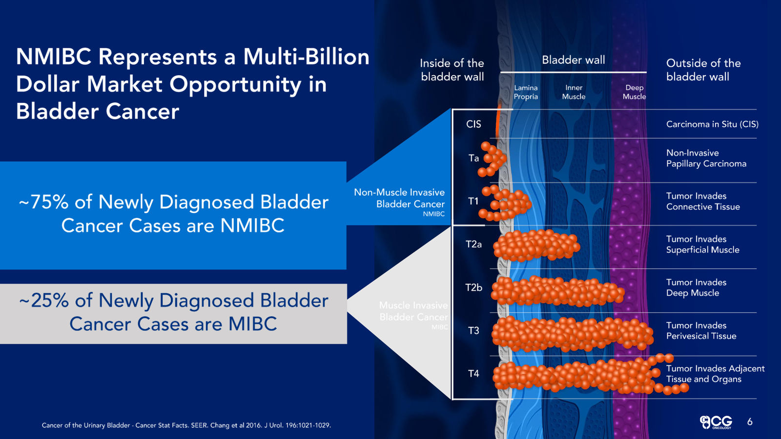 CG Oncology Investor Presentation — slide 6 of 28