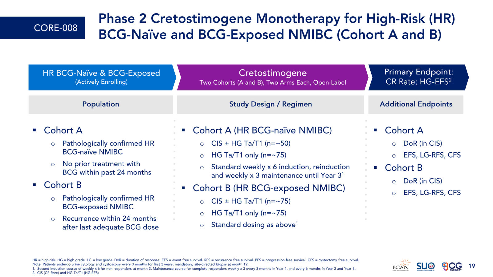 CG Oncology Investor Presentation — slide 19 of 28