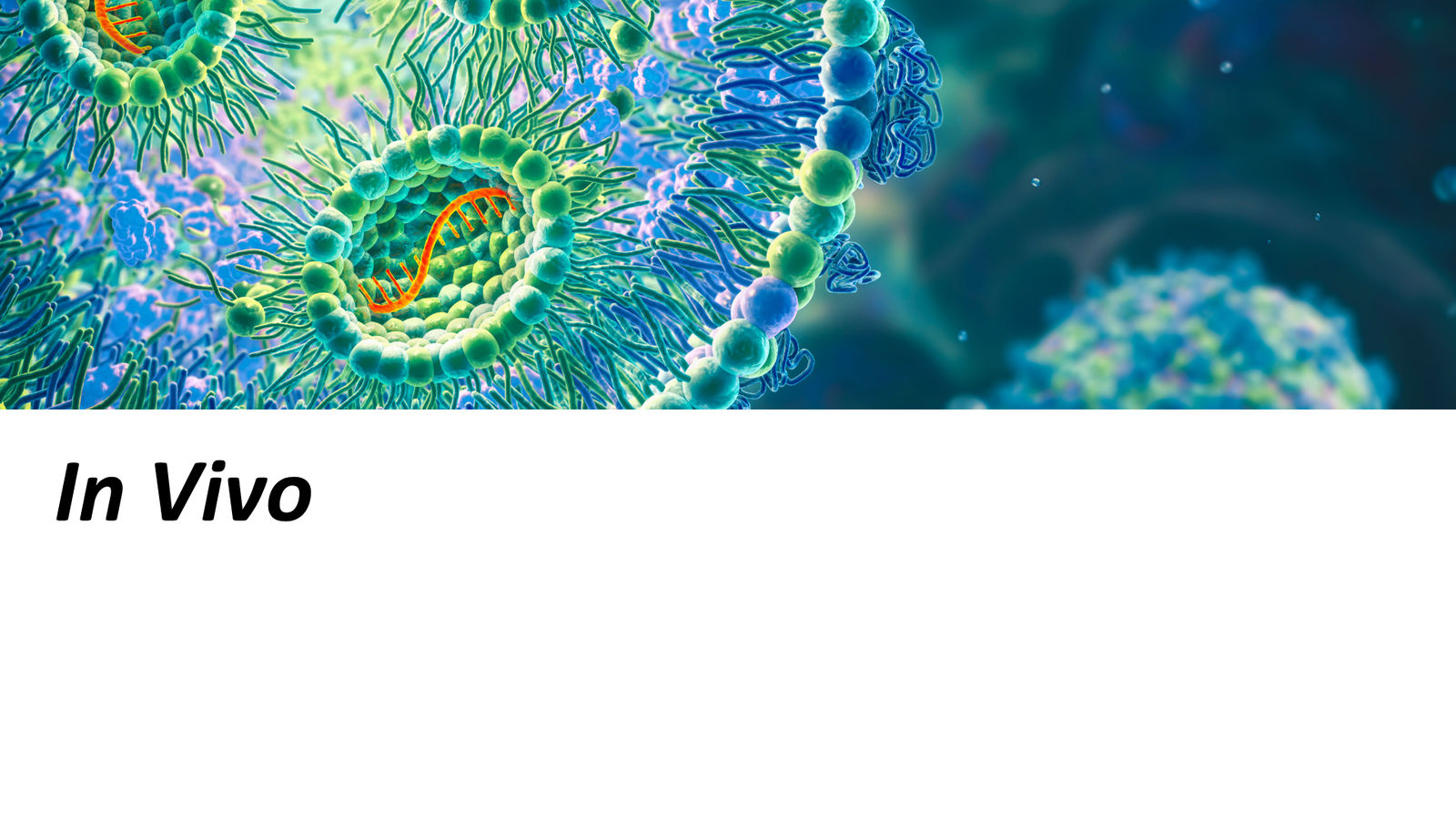 CRISPR Therapeutics J.P. Morgan 2026 — slide 10 of 35