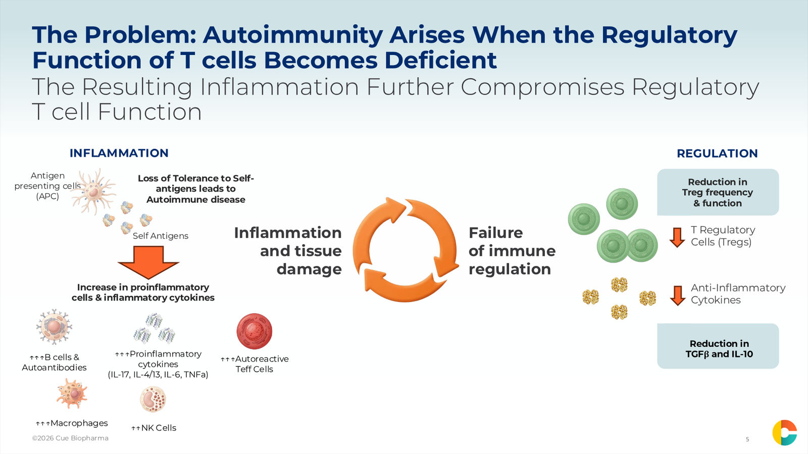 Cue Biopharma R&D Day Event — slide 5 of 33