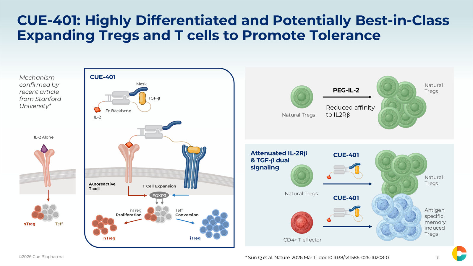Cue Biopharma R&D Day Event — slide 8 of 33