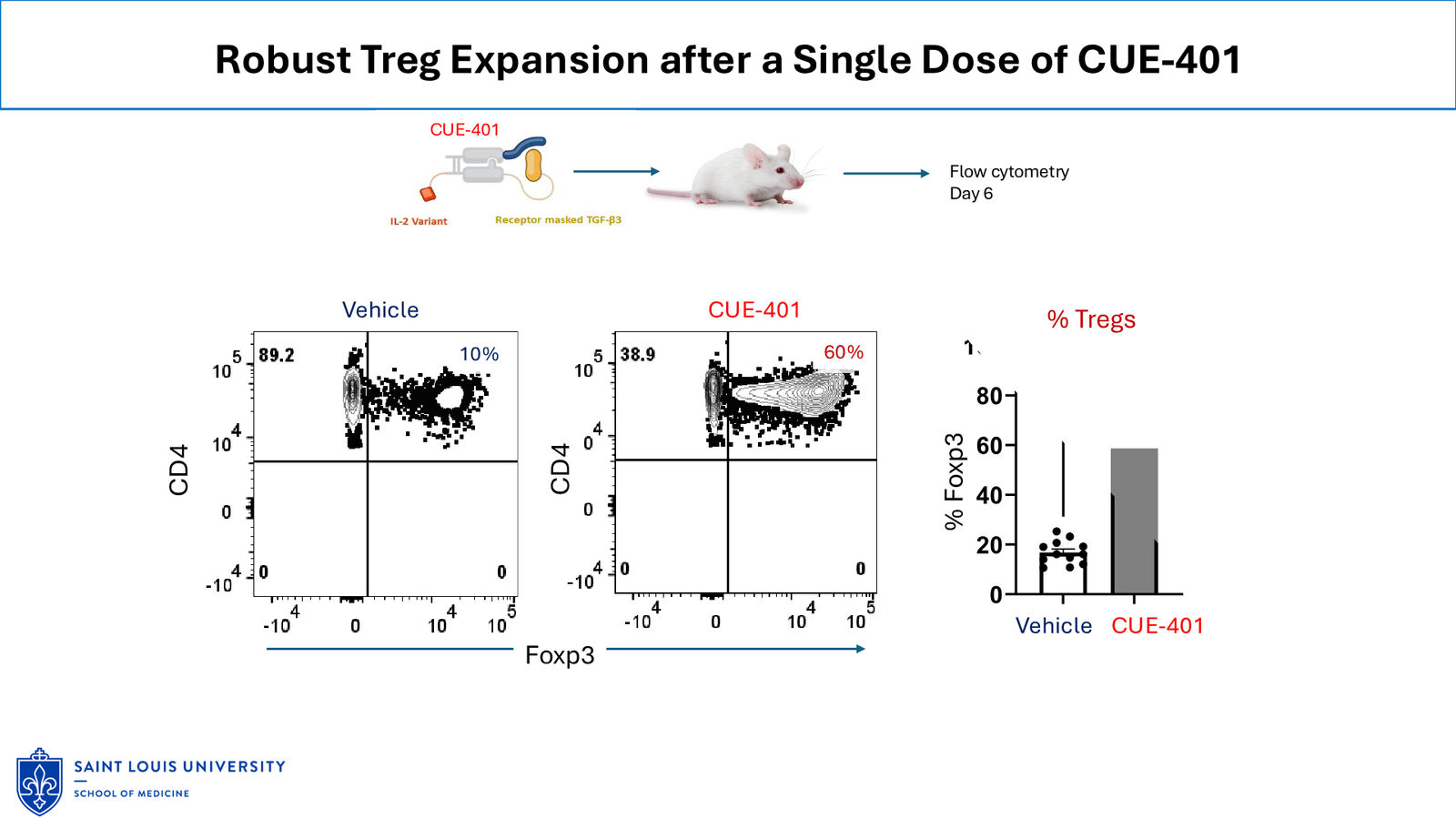 Cue Biopharma R&D Day Event — slide 15 of 33