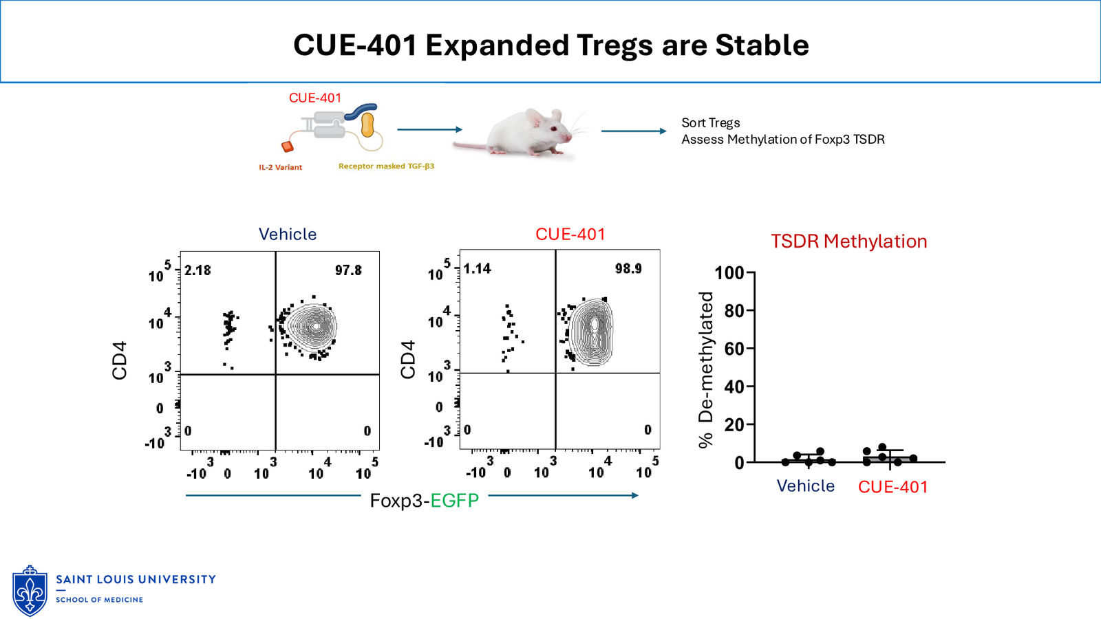 Cue Biopharma R&D Day Event — slide 16 of 33