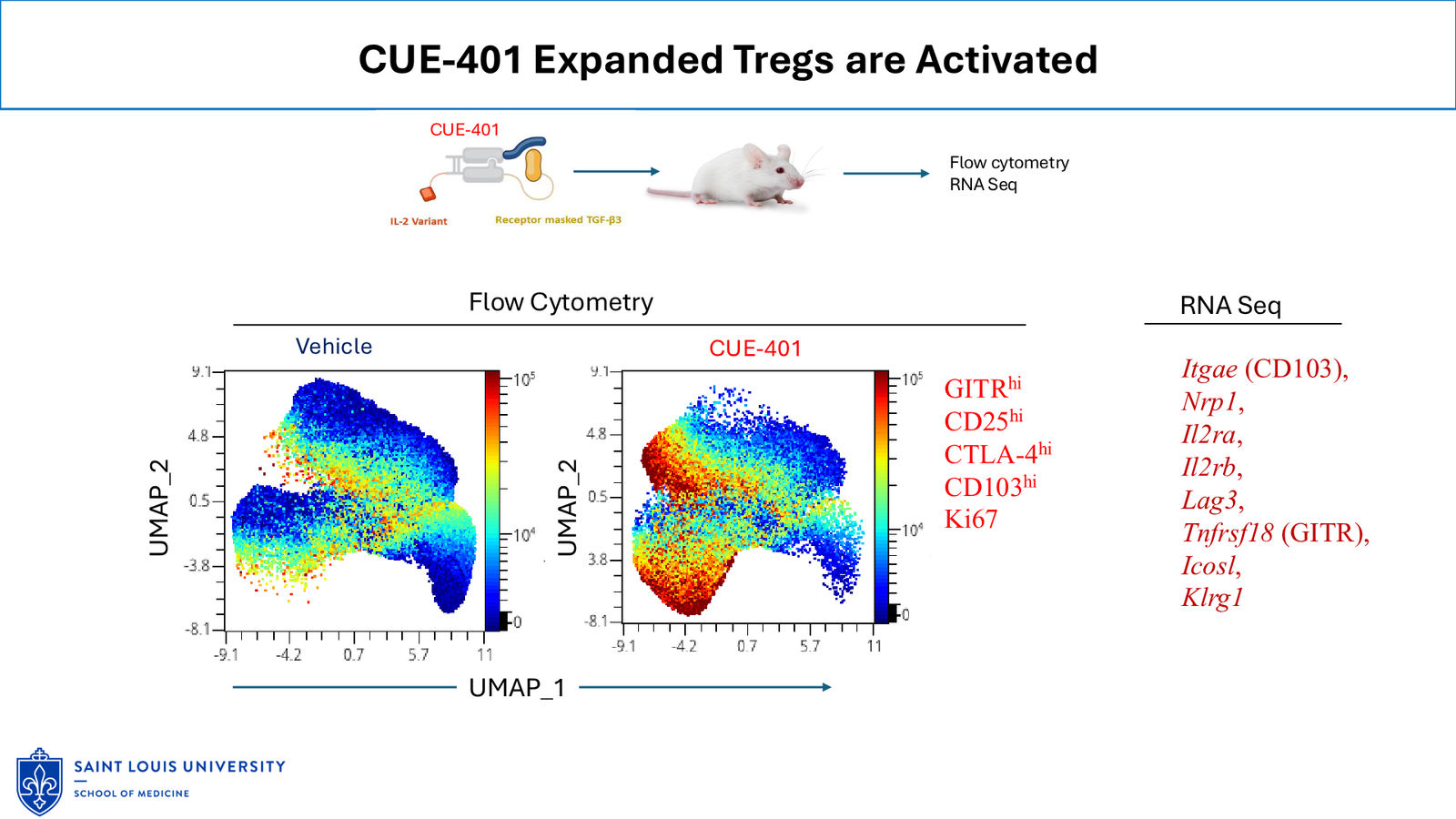 Cue Biopharma R&D Day Event — slide 17 of 33