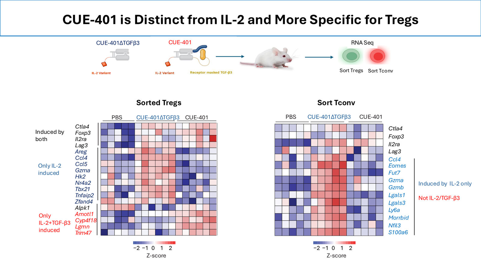 Cue Biopharma R&D Day Event — slide 18 of 33