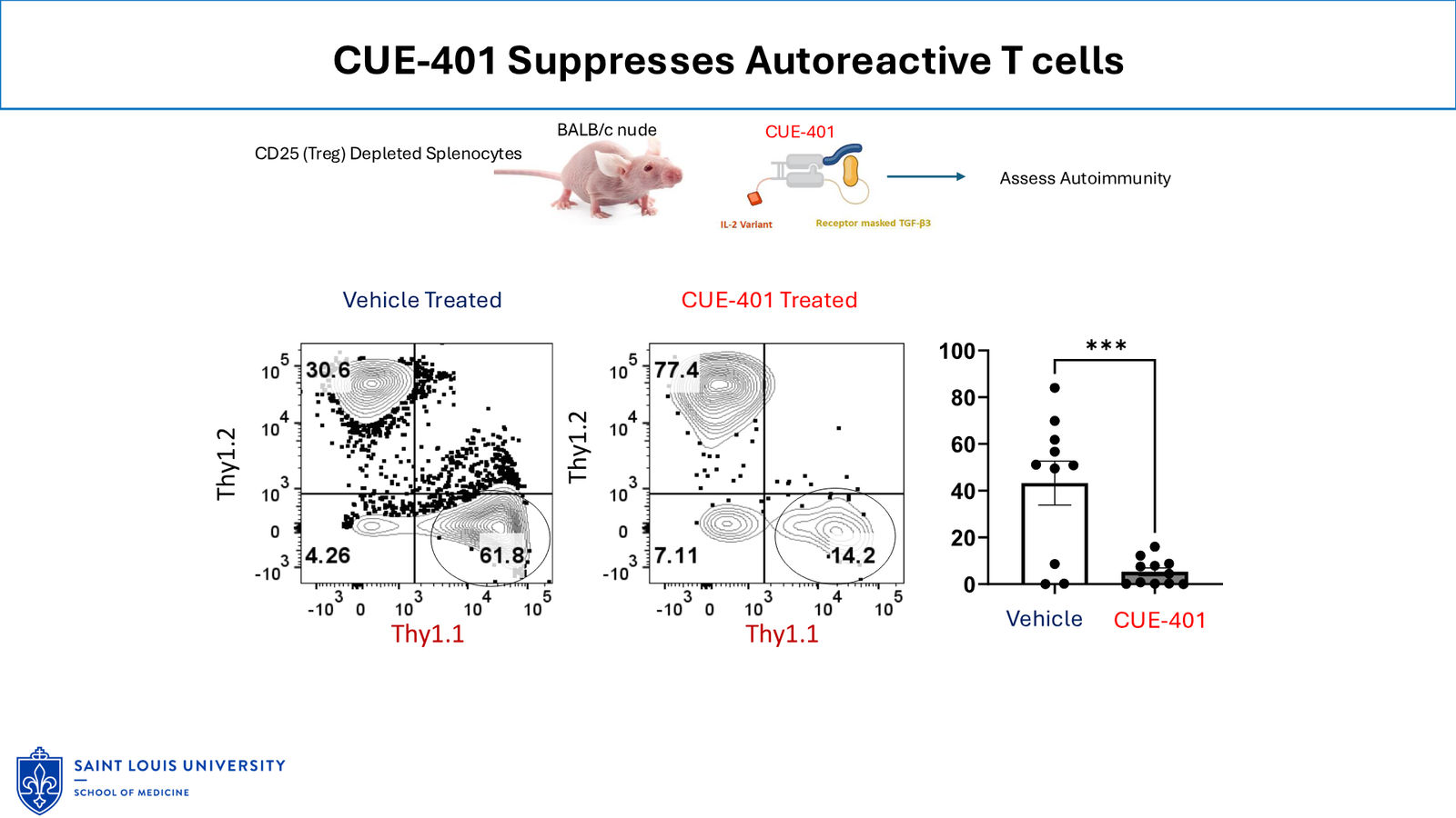 Cue Biopharma R&D Day Event — slide 19 of 33