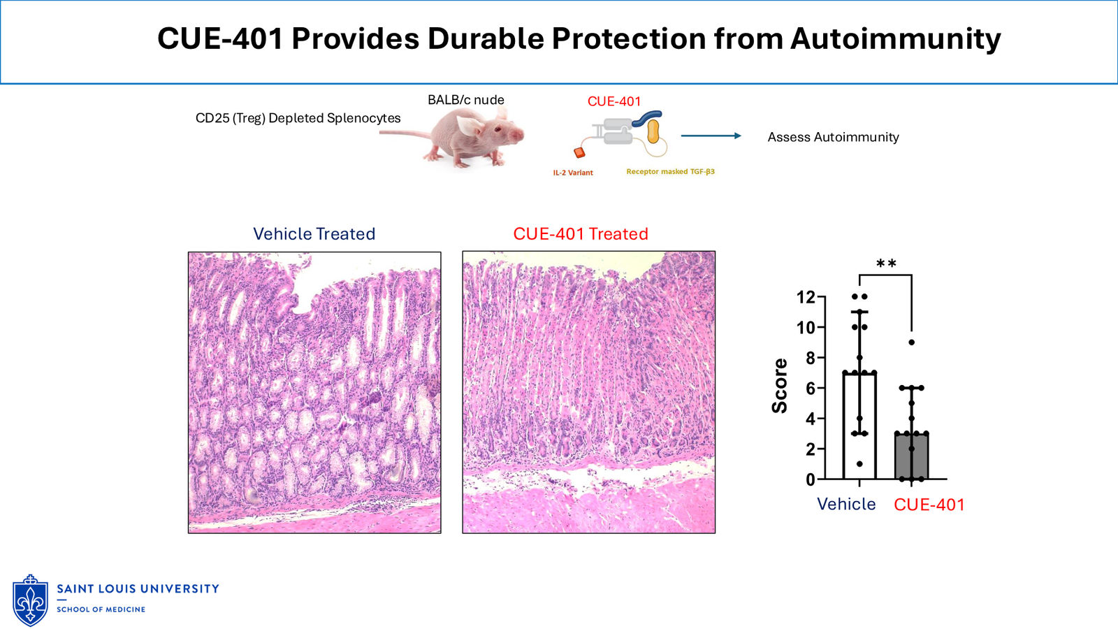 Cue Biopharma R&D Day Event — slide 20 of 33