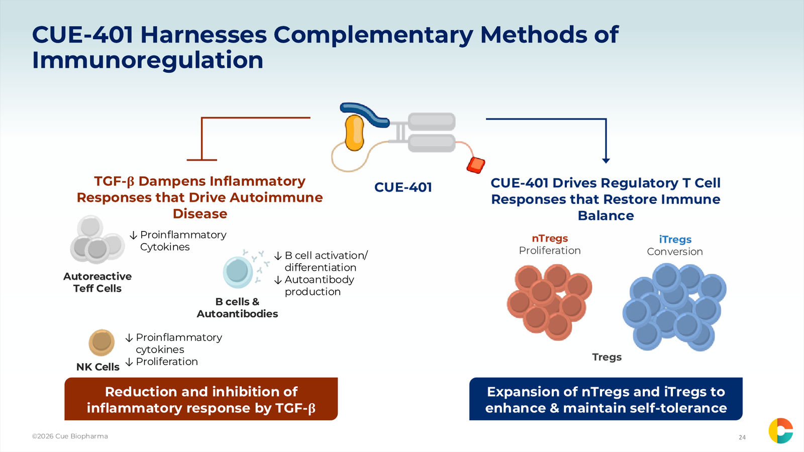 Cue Biopharma R&D Day Event — slide 24 of 33