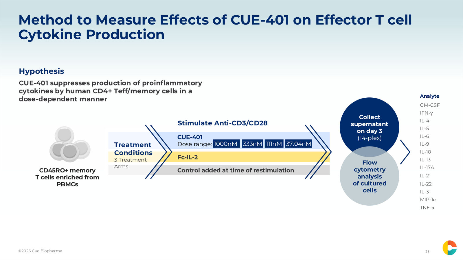 Cue Biopharma R&D Day Event — slide 25 of 33