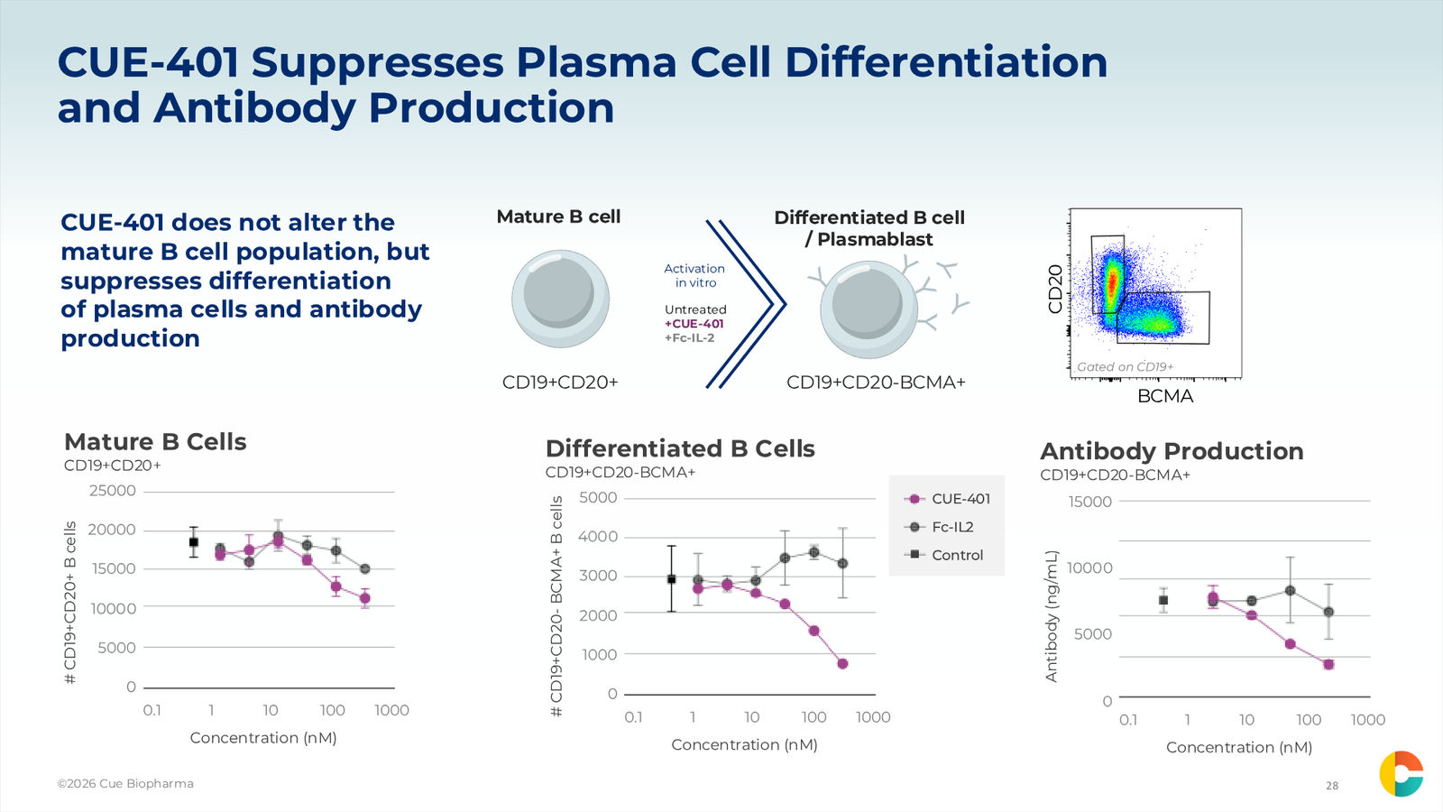 Cue Biopharma R&D Day Event — slide 28 of 33