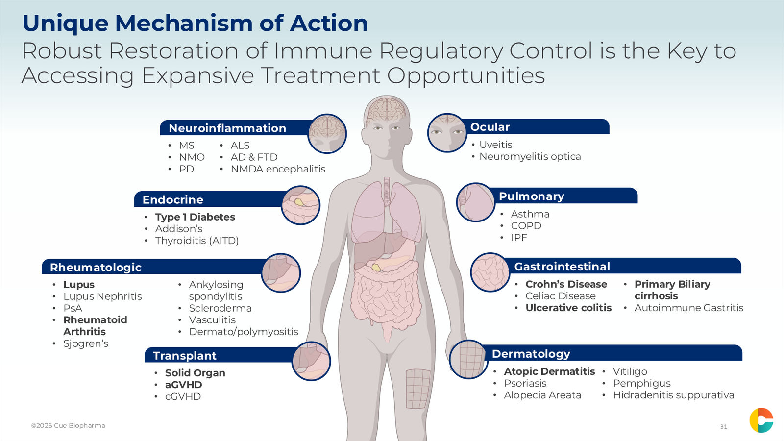 Cue Biopharma R&D Day Event — slide 31 of 33