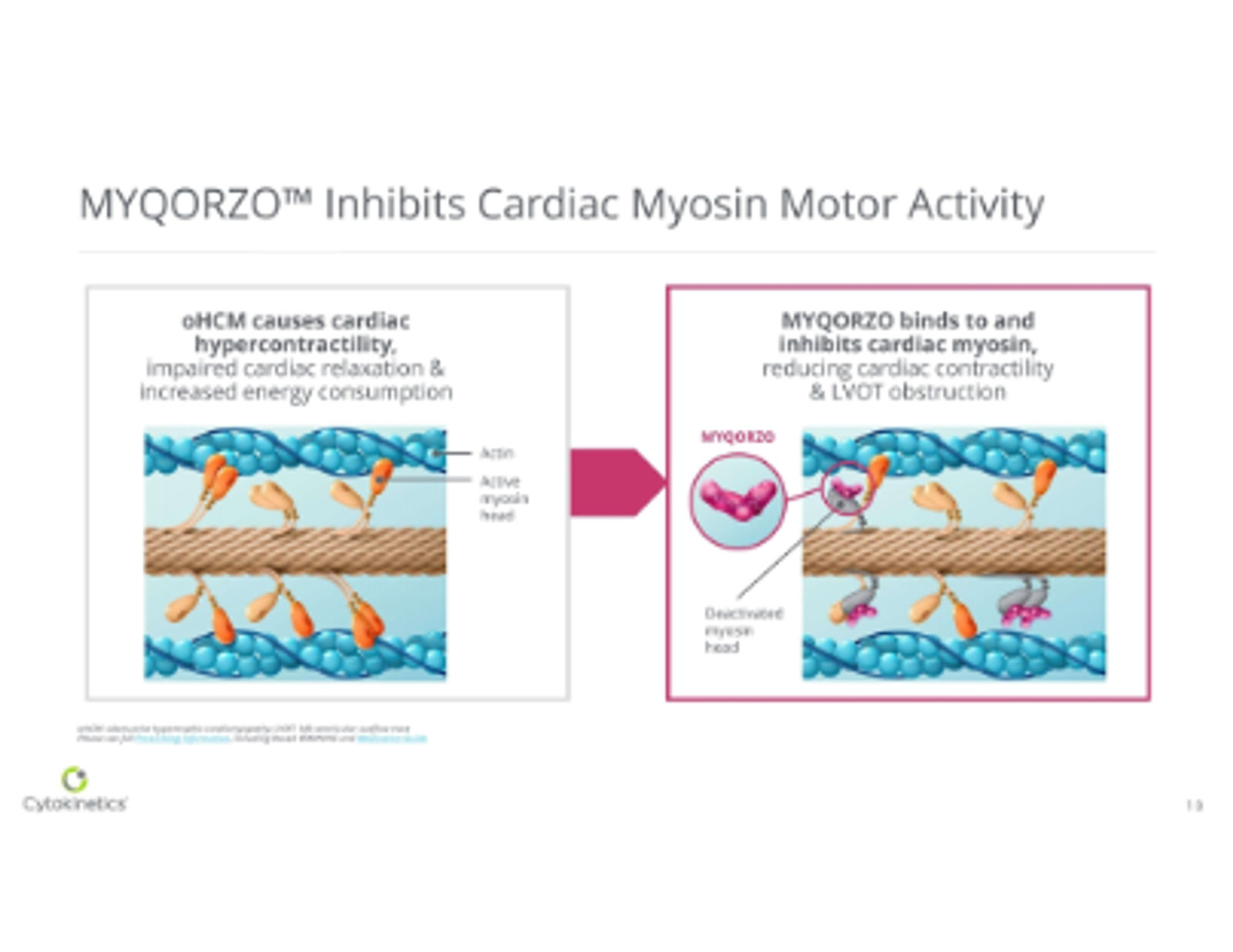 Cytokinetics Corporate Presentation May 2026 — slide 10 of 37