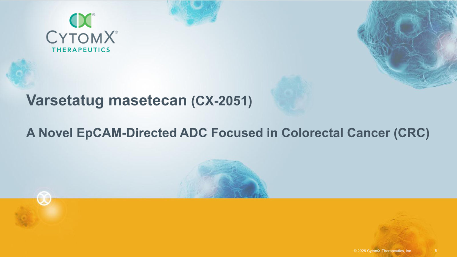 CytomX Therapeutics JP Morgan 2026 — slide 6 of 32