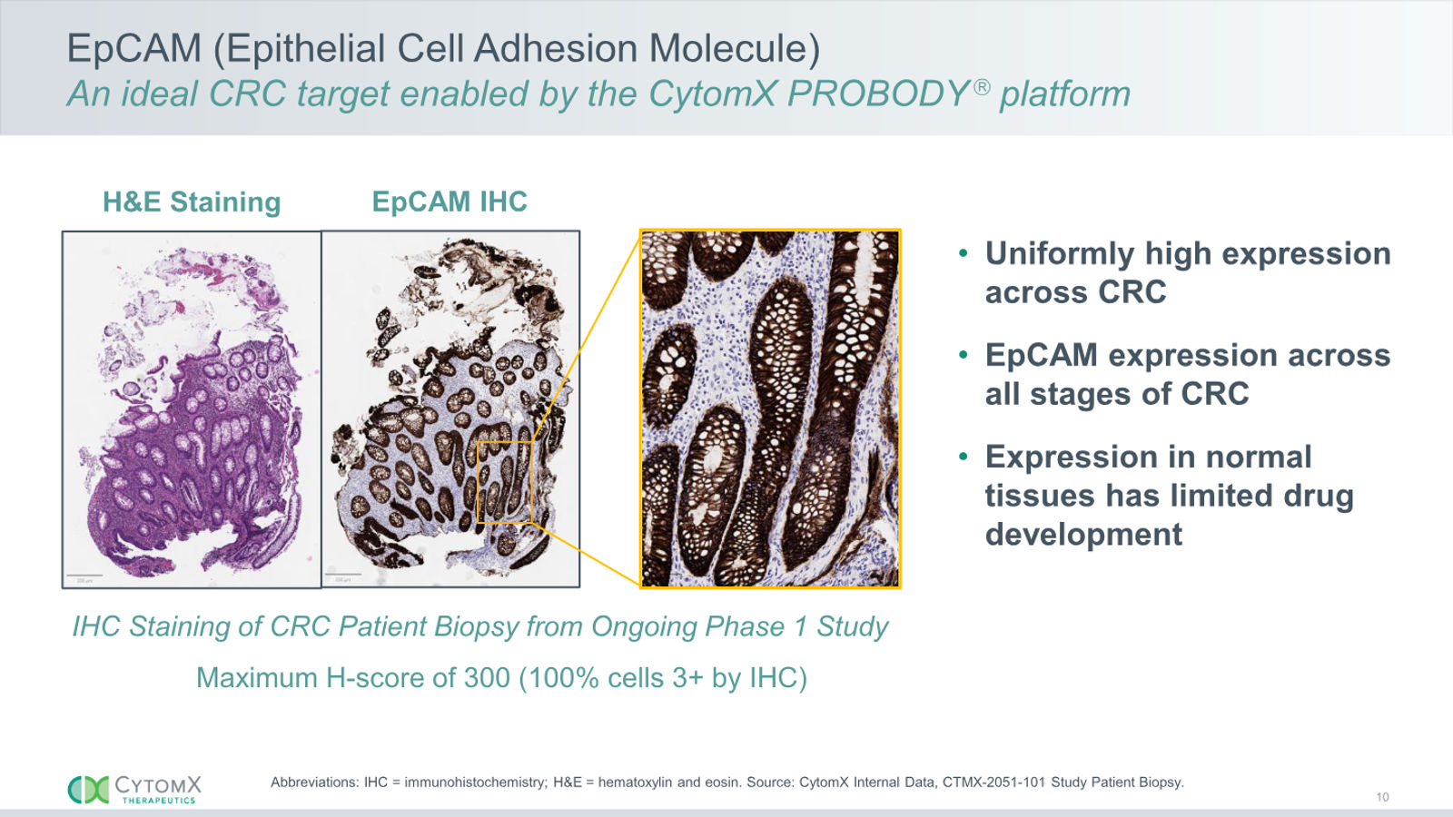 CytomX Therapeutics JP Morgan 2026 — slide 10 of 32