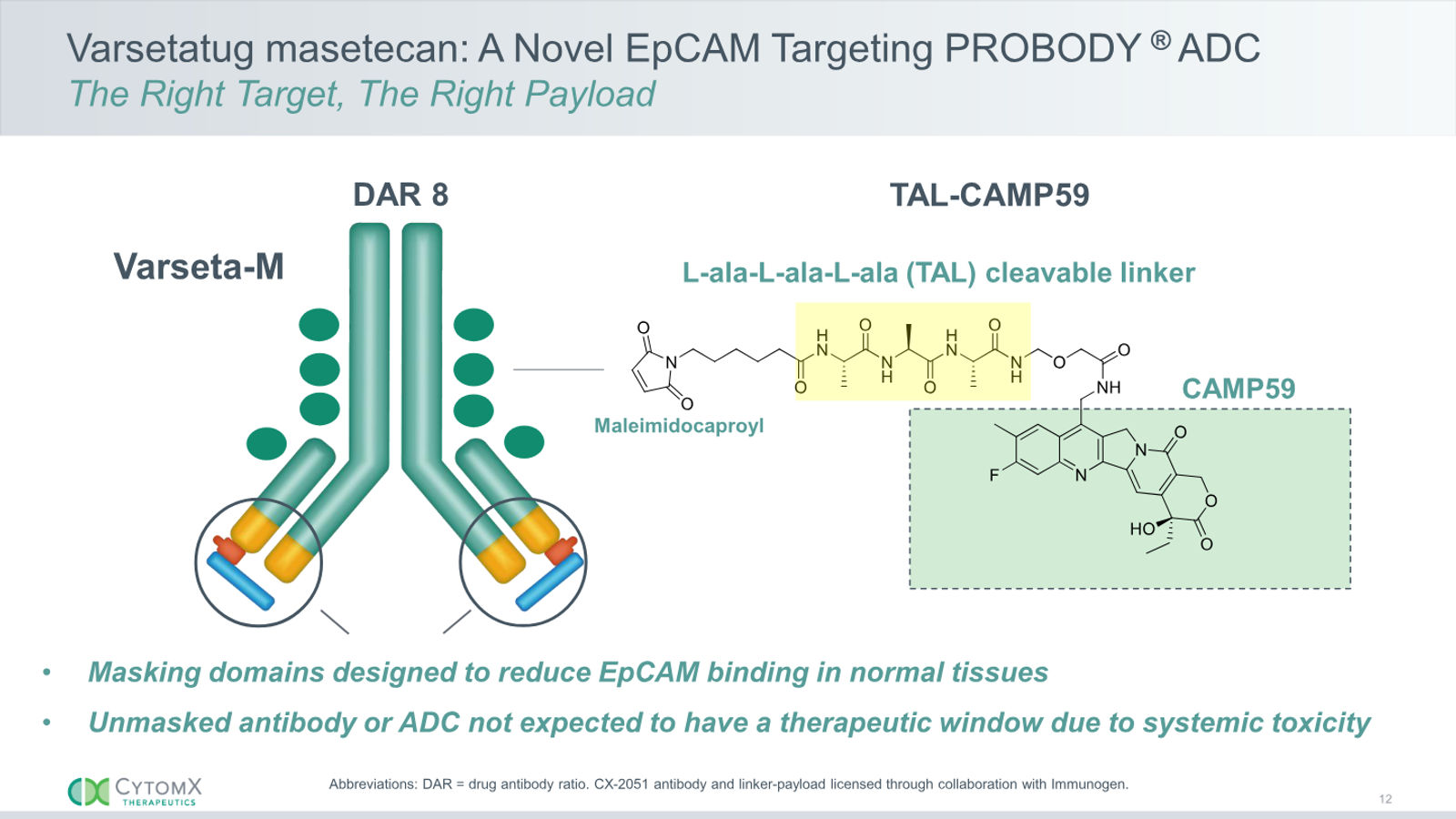 CytomX Therapeutics JP Morgan 2026 — slide 12 of 32
