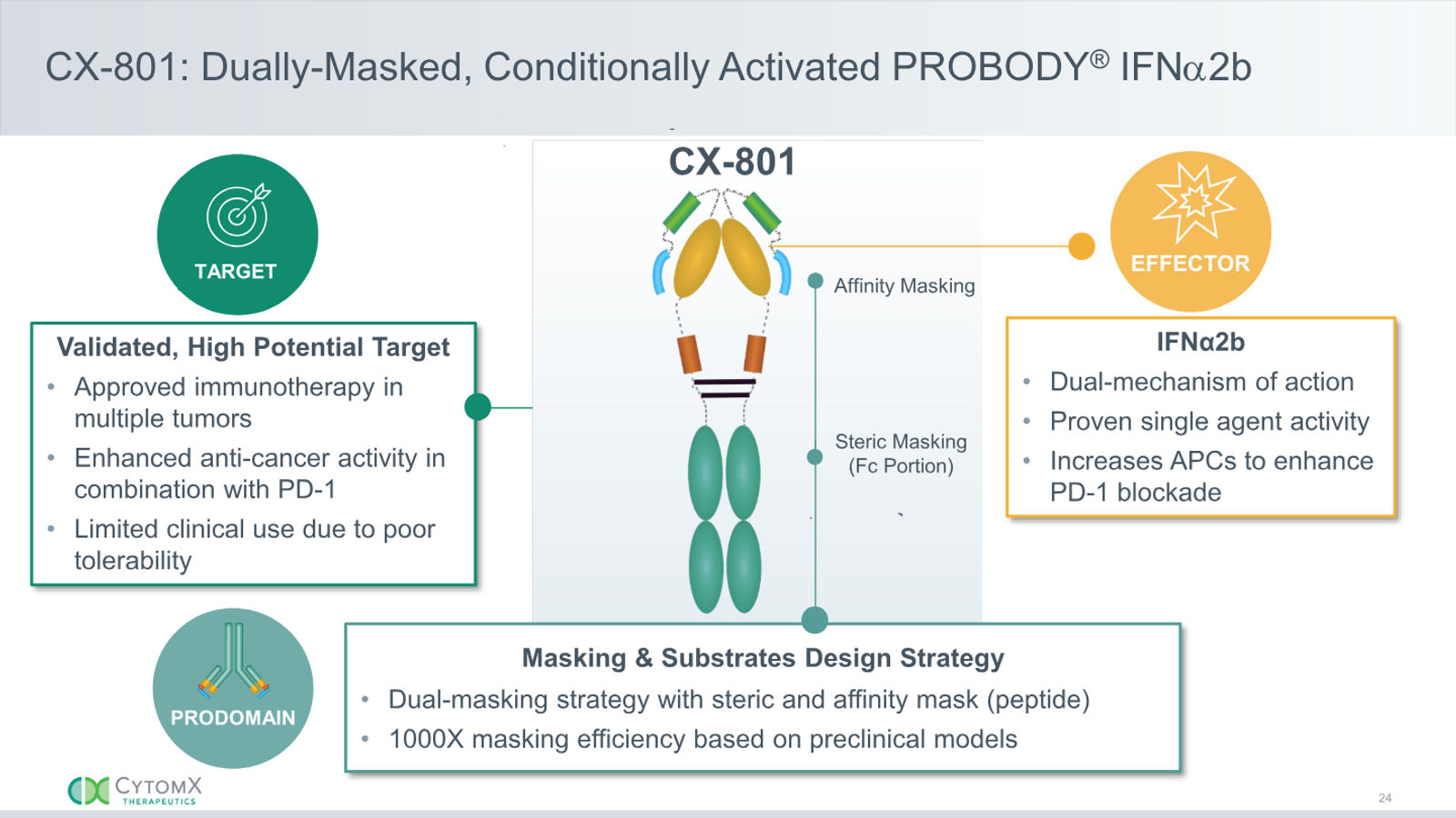 CytomX Therapeutics JP Morgan 2026 — slide 24 of 32