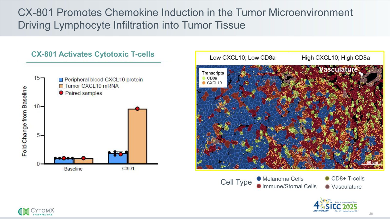CytomX Therapeutics JP Morgan 2026 — slide 28 of 32