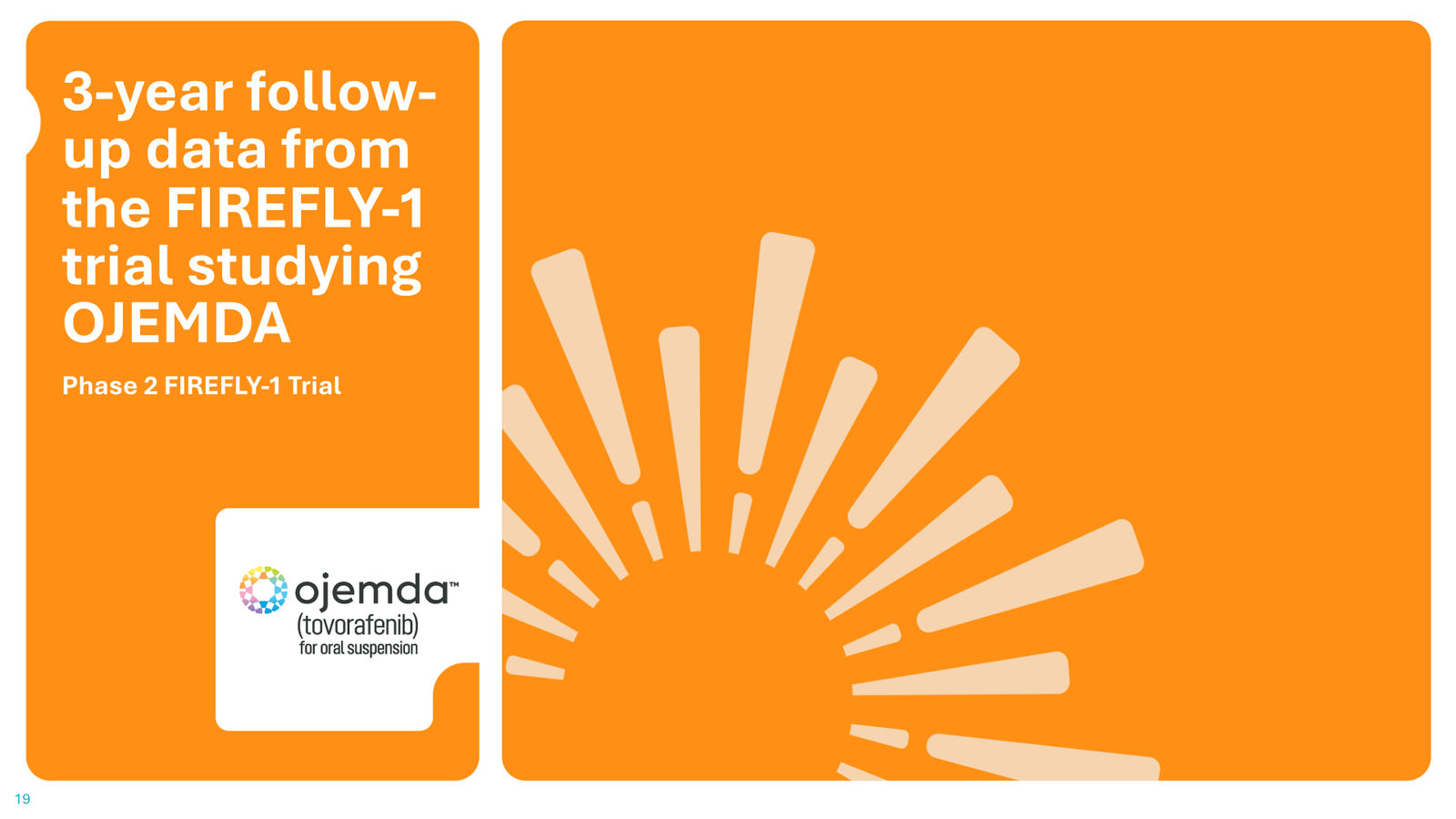 Day One Corporate Presentation — slide 19 of 43