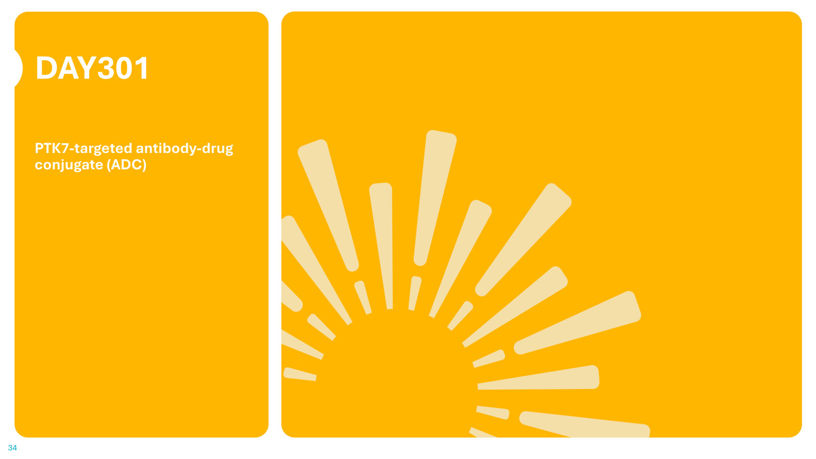Day One Corporate Presentation — slide 34 of 43