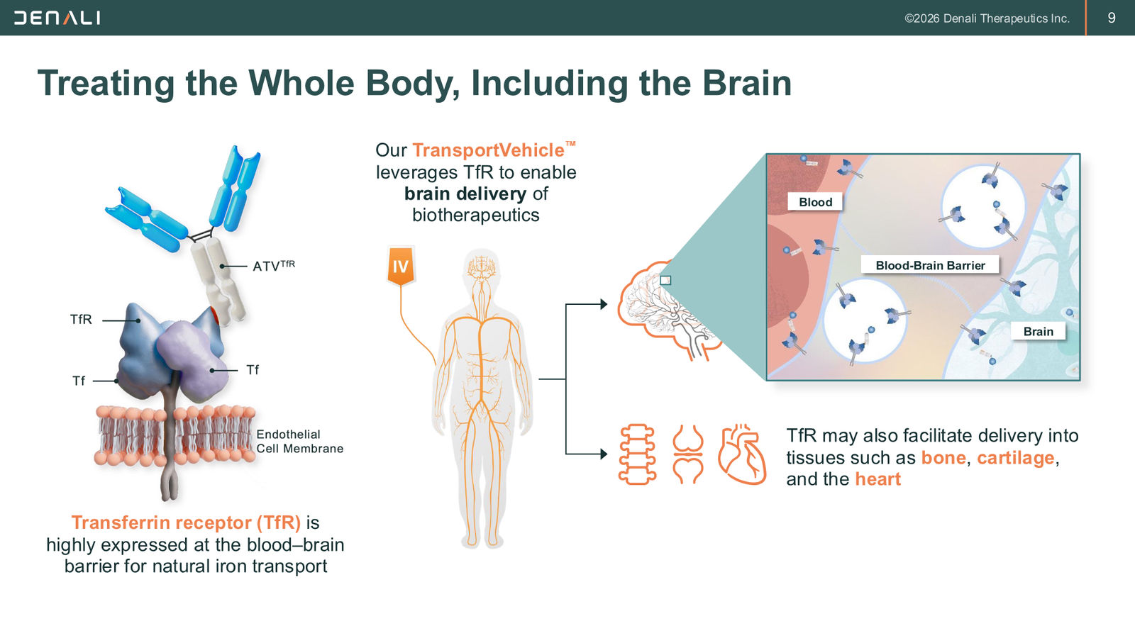 DNLI Corporate Presentation — January 2026 — slide 9 of 37