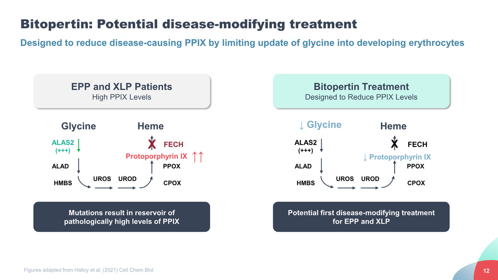 Disc Medicine Corporate Presentation — slide 12 of 58