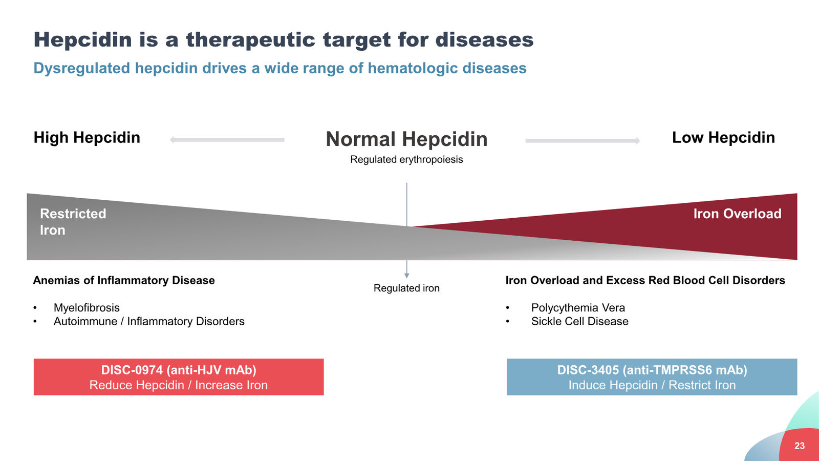 Disc Medicine Corporate Presentation — slide 23 of 58