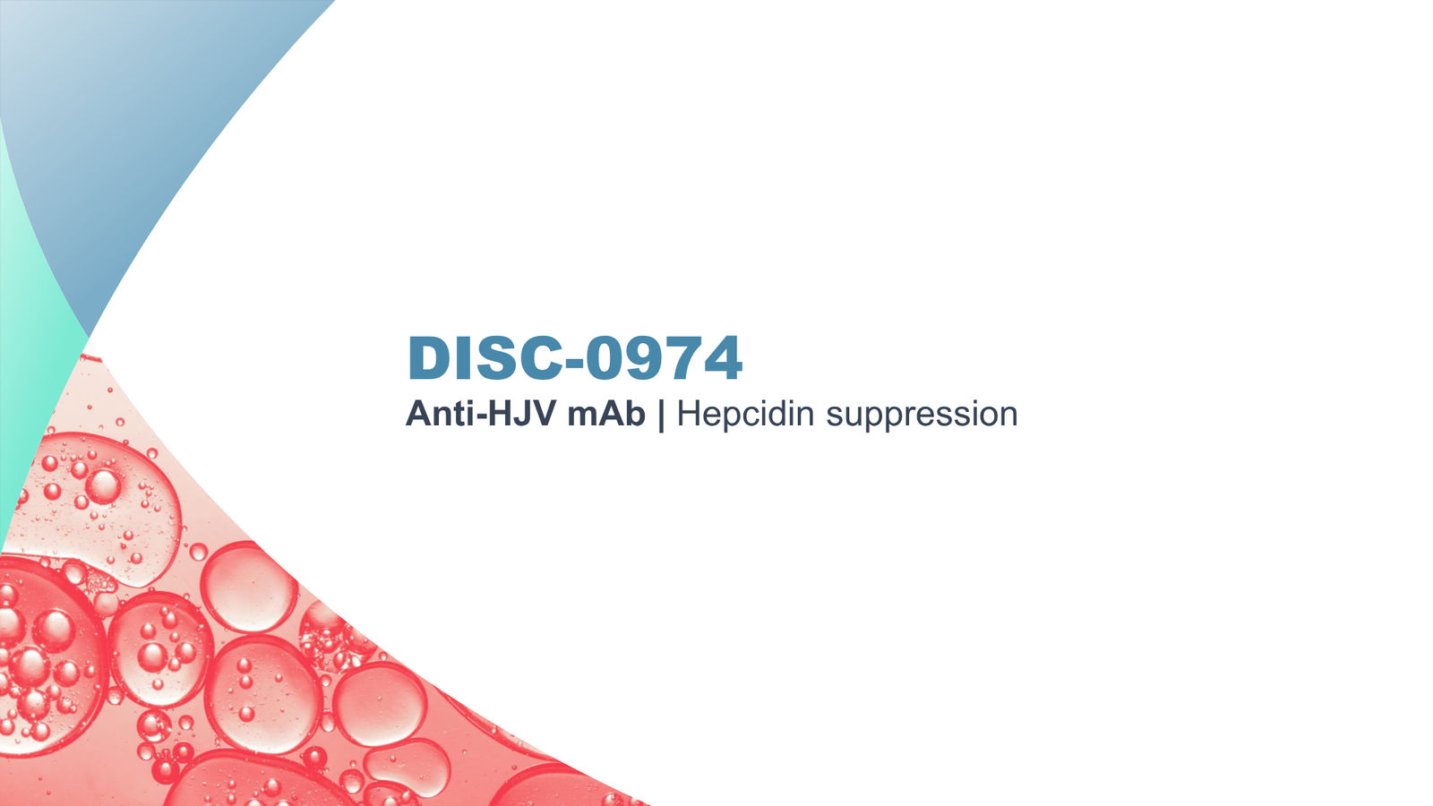 Disc Medicine Corporate Presentation — slide 24 of 58