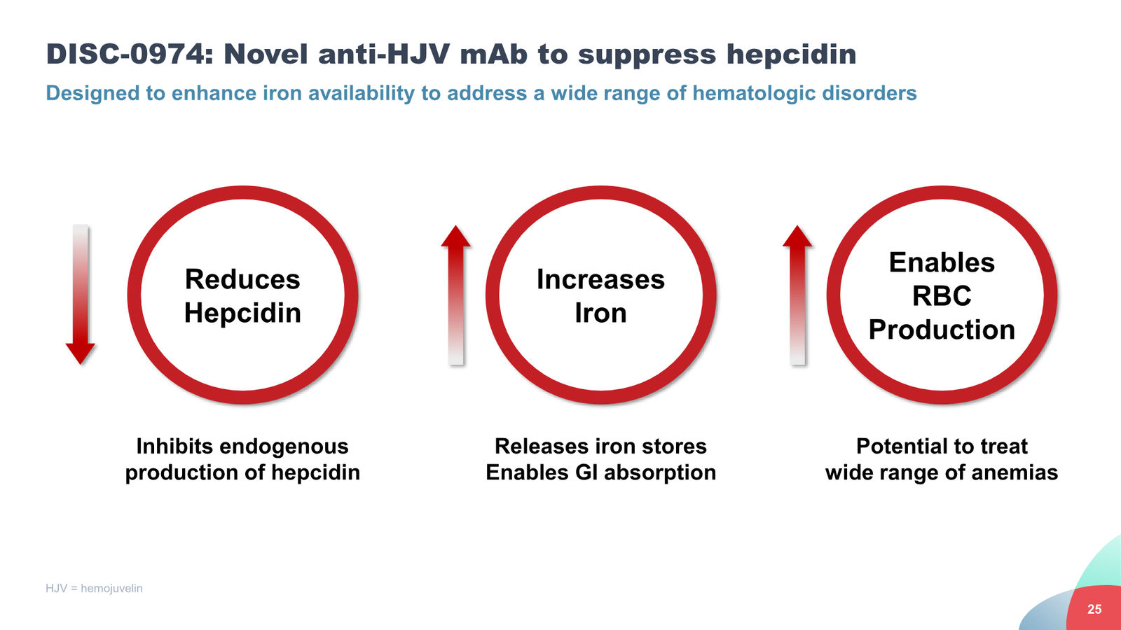 Disc Medicine Corporate Presentation — slide 25 of 58
