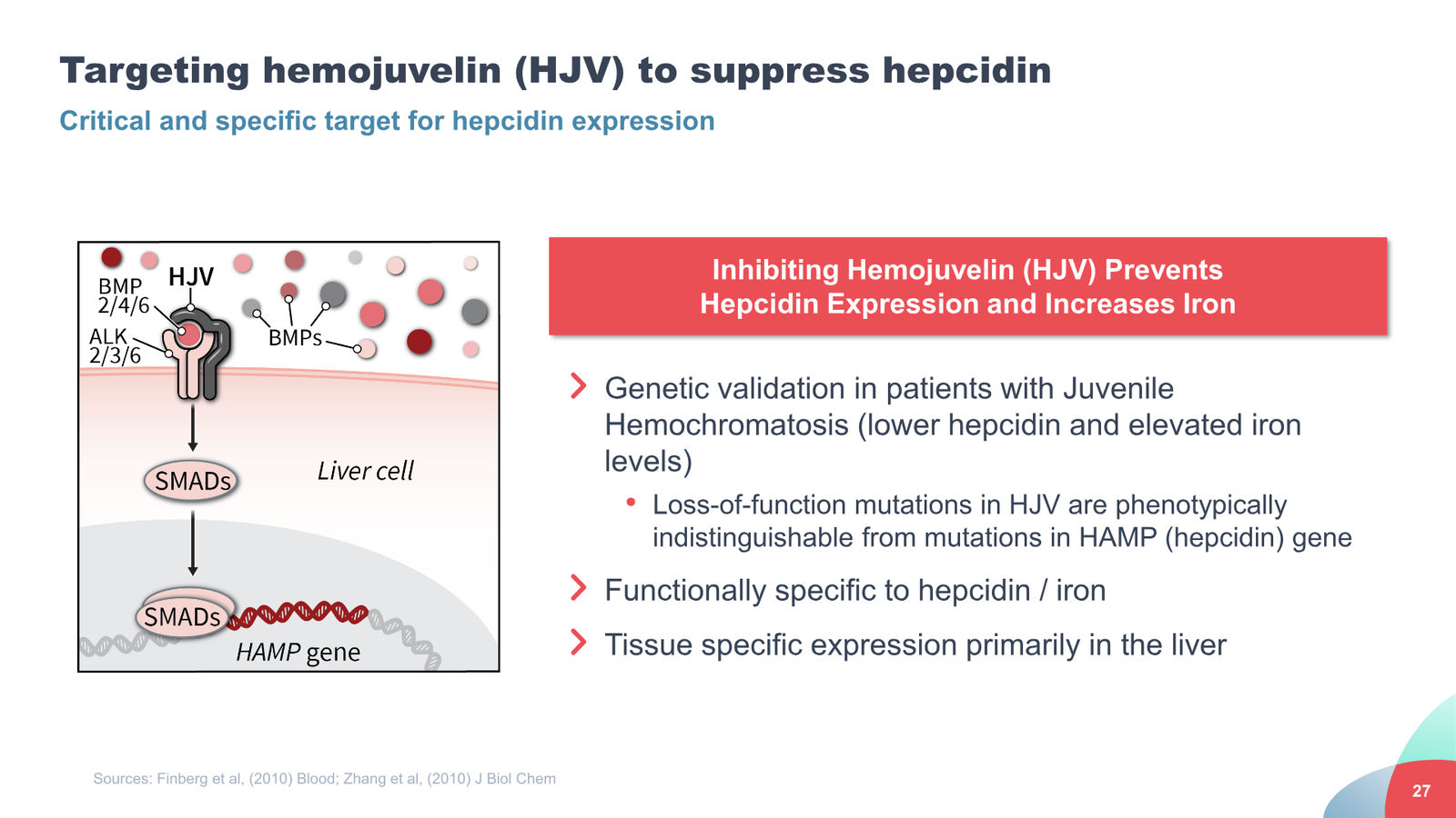 Disc Medicine Corporate Presentation — slide 27 of 58