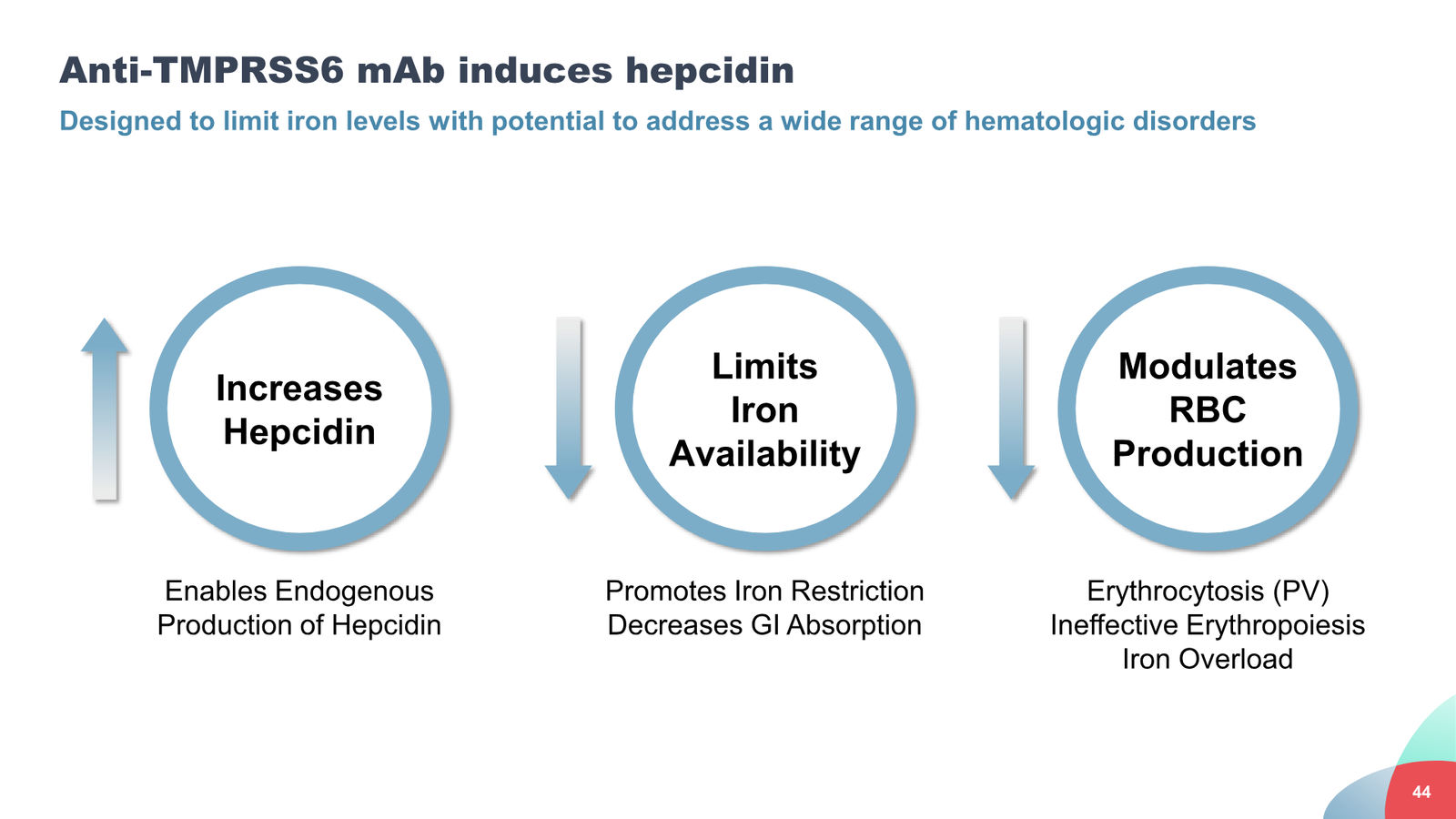 Disc Medicine Corporate Presentation — slide 44 of 58