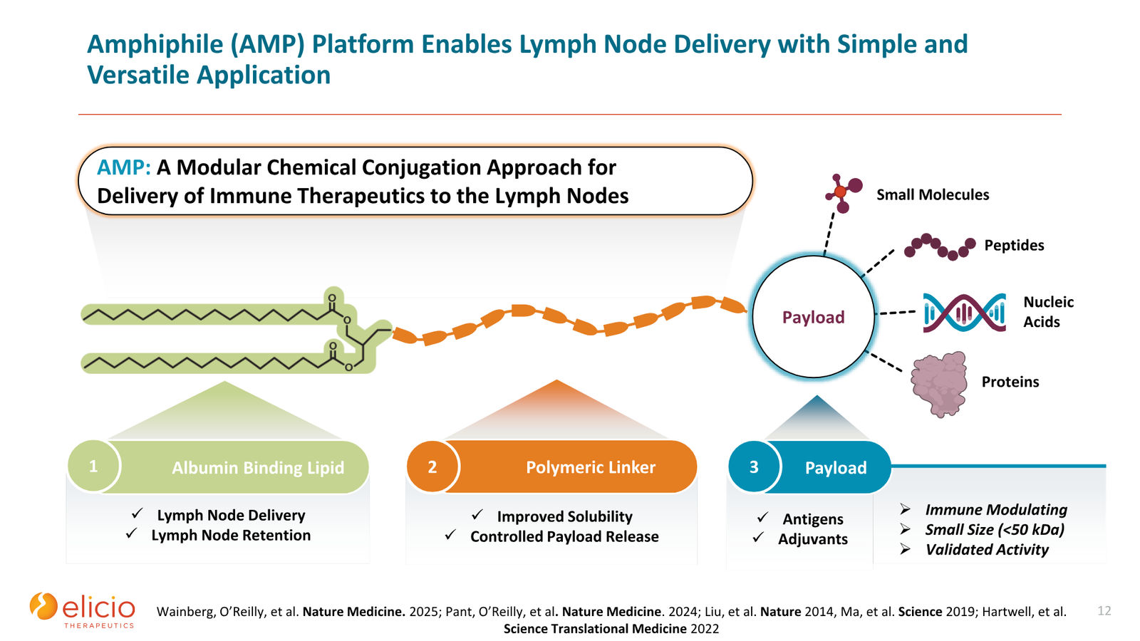 Elicio Therapeutics Corporate Deck — January 2026 — slide 12 of 50