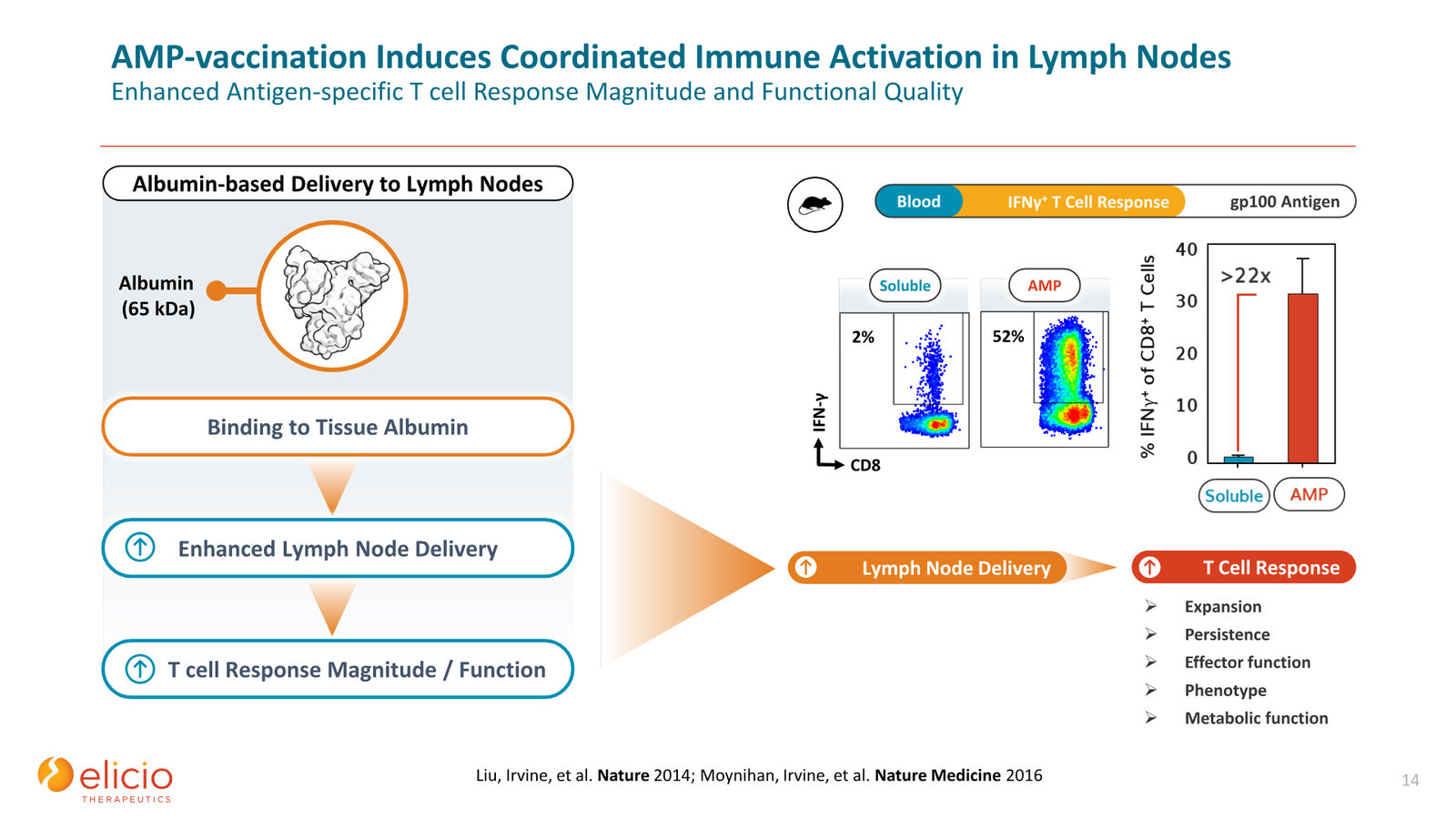 Elicio Therapeutics Corporate Deck — January 2026 — slide 14 of 50