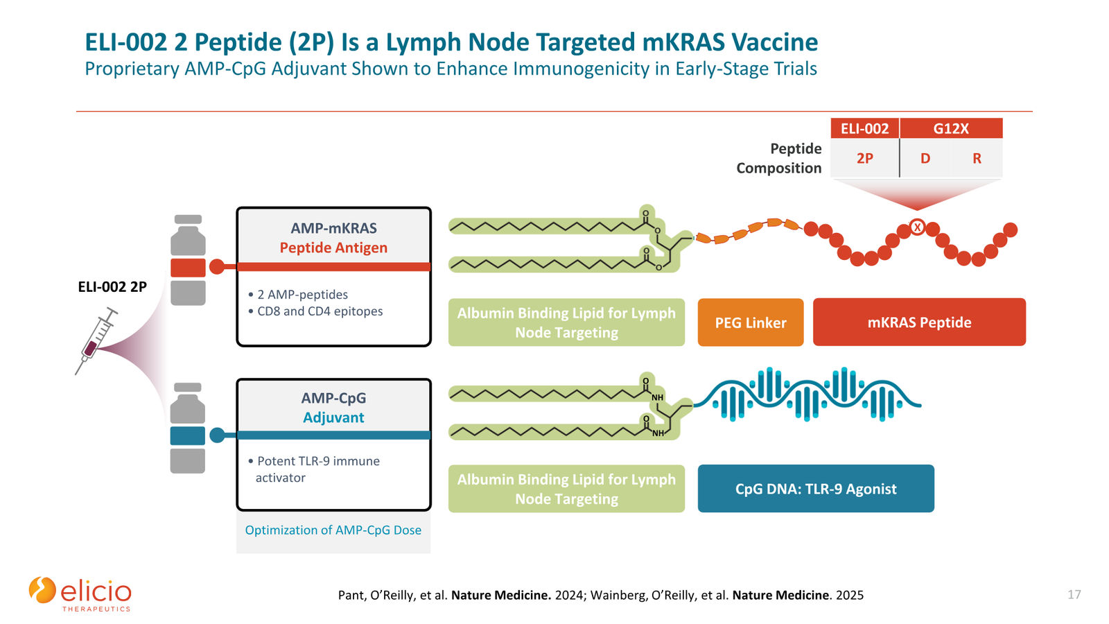 Elicio Therapeutics Corporate Deck — January 2026 — slide 17 of 50