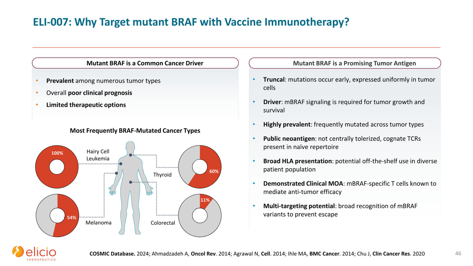 Elicio Therapeutics Corporate Deck — January 2026 — slide 46 of 50