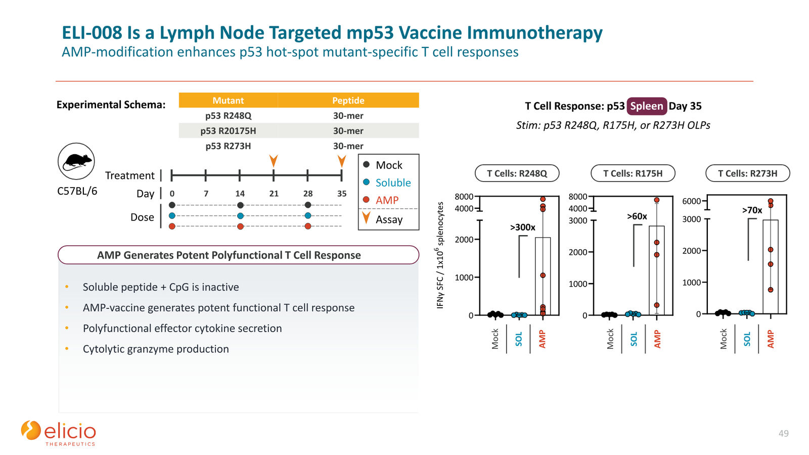 Elicio Therapeutics Corporate Deck — January 2026 — slide 49 of 50